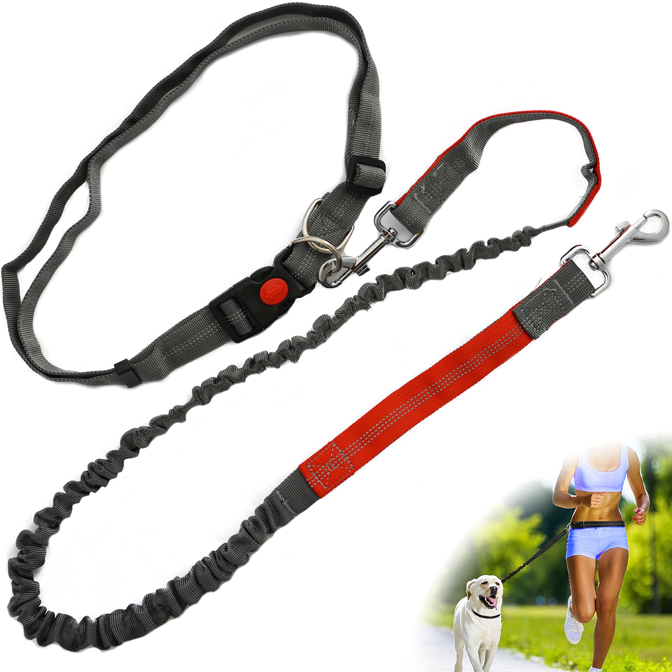 canicross leash