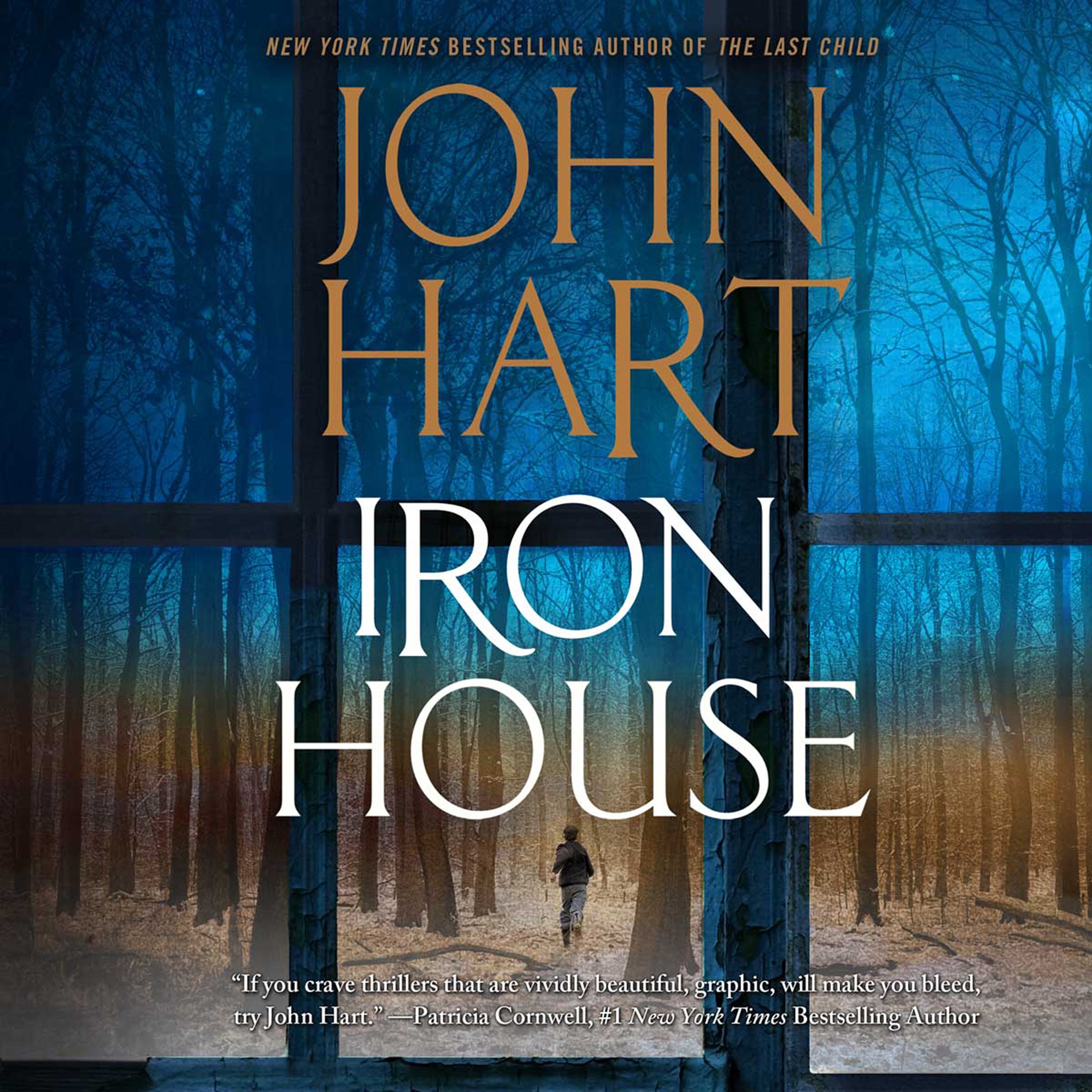 Cover art for Iron House