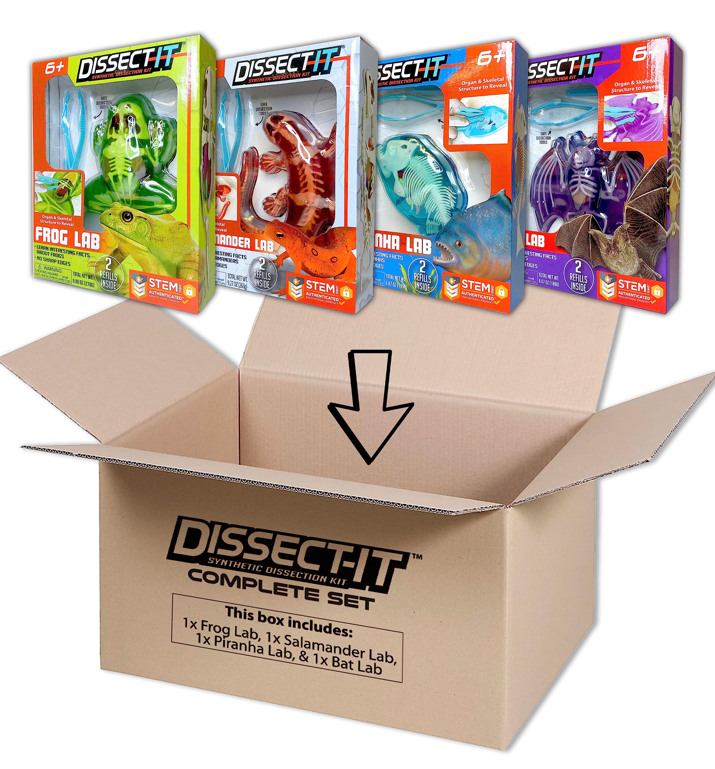 Amazon.com: Dissect-It Kit for Kids, Synthetic Dissection Kids