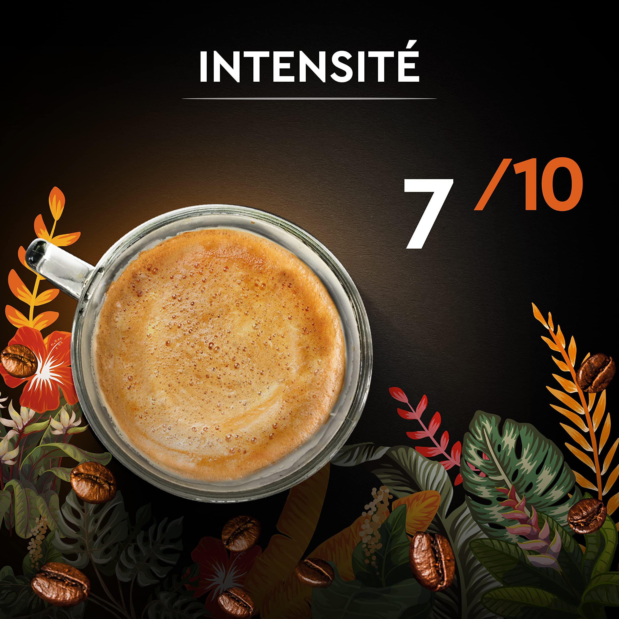 CARTE NOIRE - Café Grain Carte Noire Secrets de Nature - Catuai Romex - Certifié Rainforest Alliance - Paquet de 1 kg