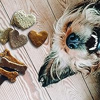 Vista 5 de Hapinest Haz tu propio kit de golosinas caseras para perros