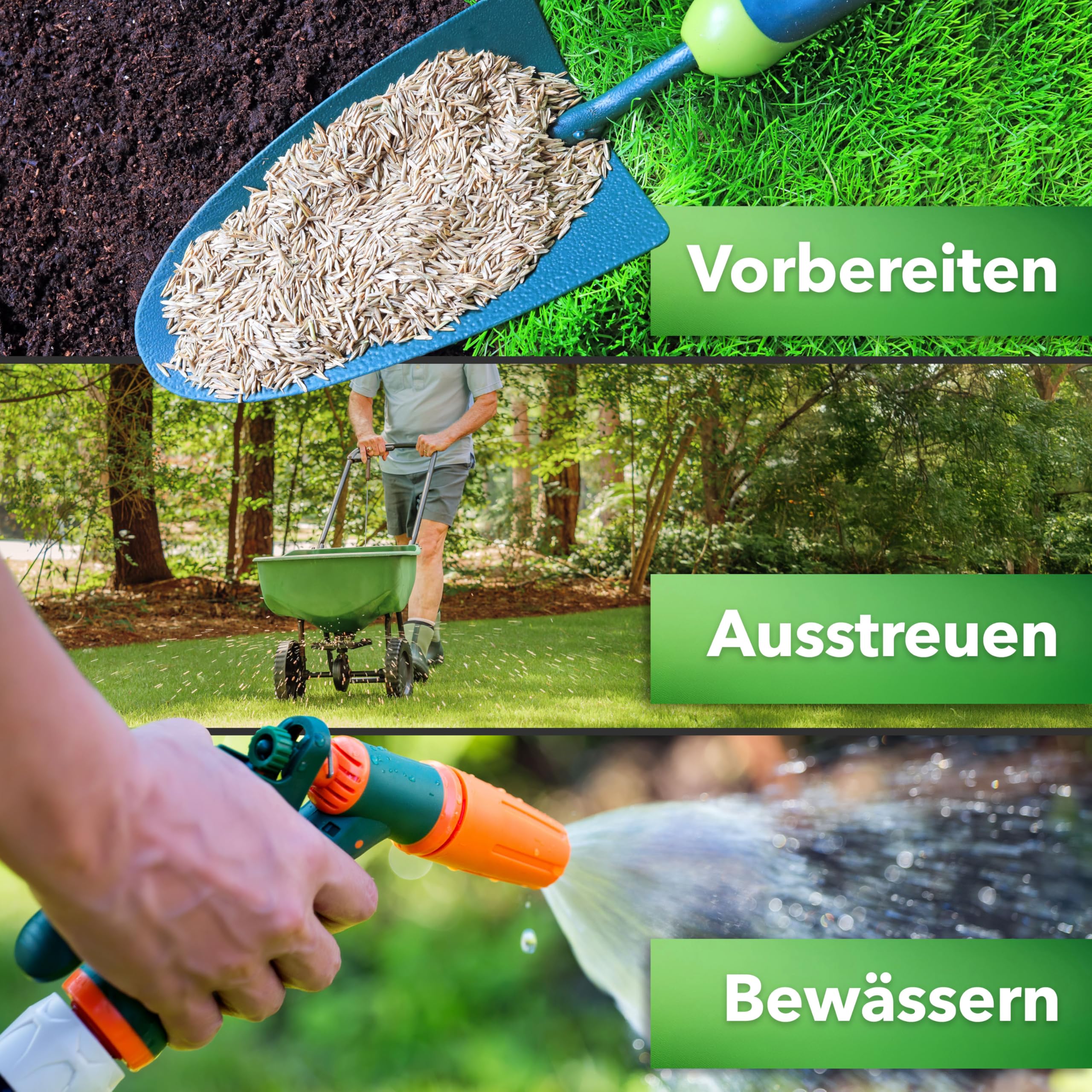 Hesa Gebrauchsrasen 1 kg für 40 m², RSM 2.3, schnellkeimende Premium Rasensamen Sport- und Spielrasen, Grassamen strapazierfähig und robust in Profiqualität