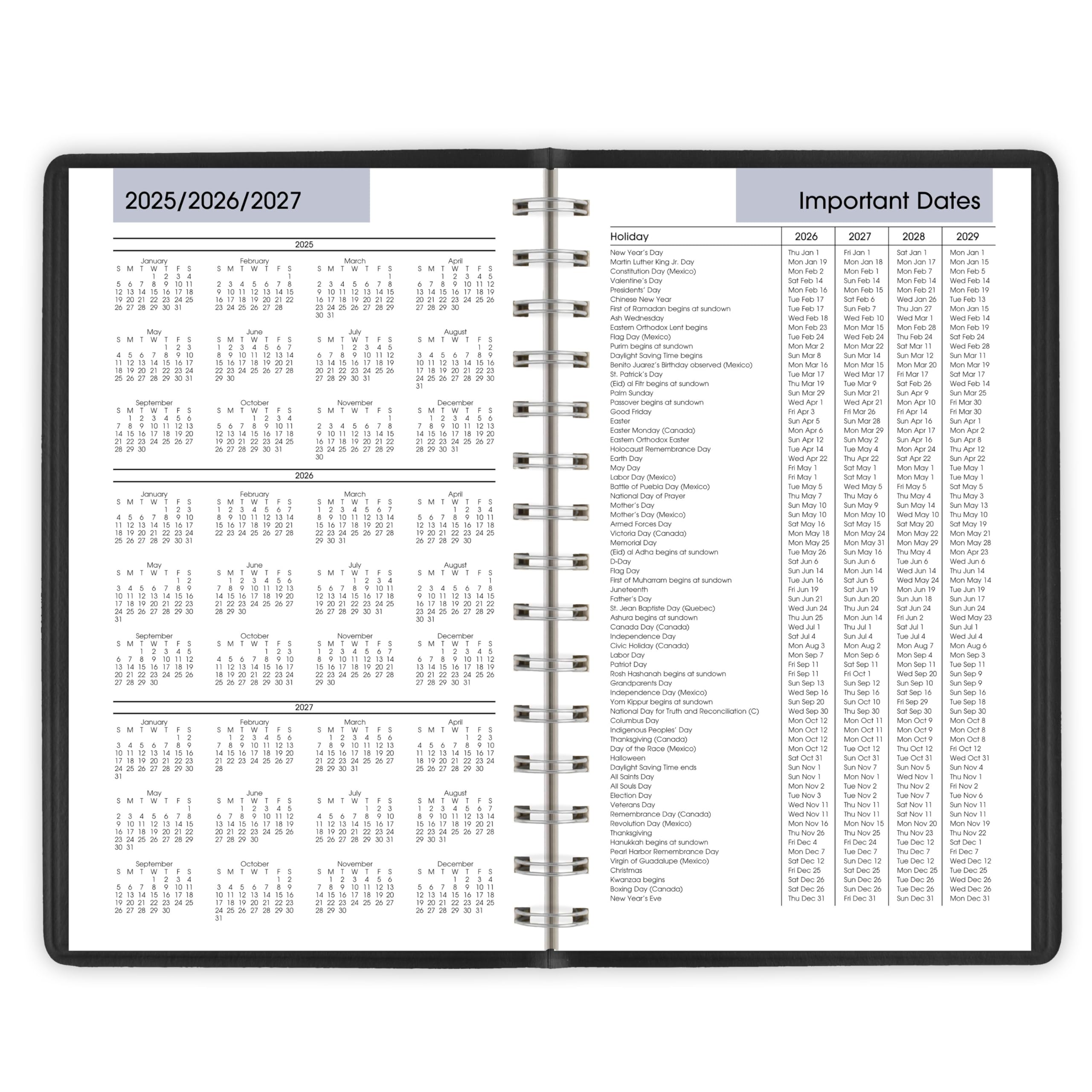 AT-A-GLANCE Agenda giornaliera 2026, 12,7 x 20,3 cm, piccola, trimestre oraria, DayMinder, nero (G1000026)