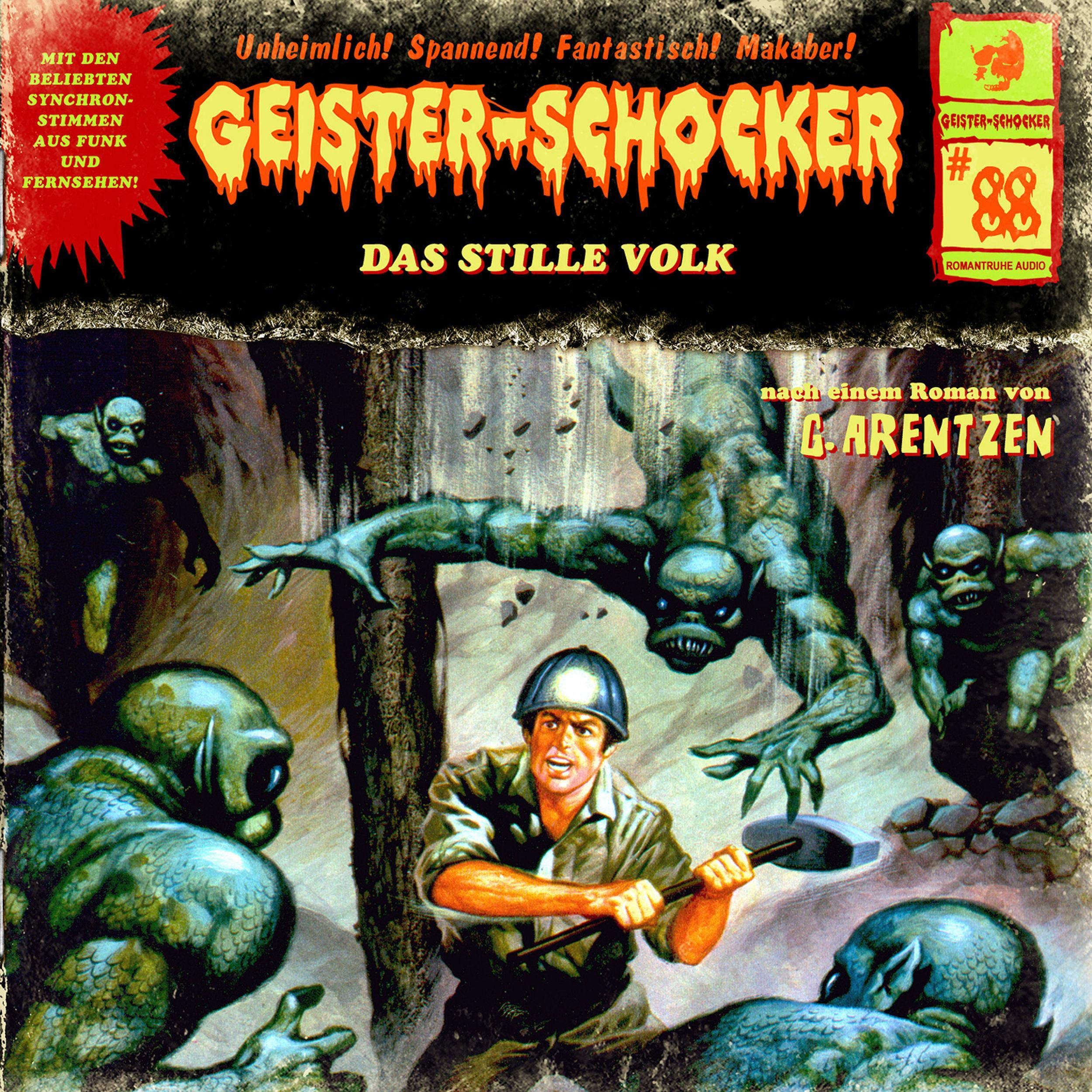 Cover art for Das stille Volk