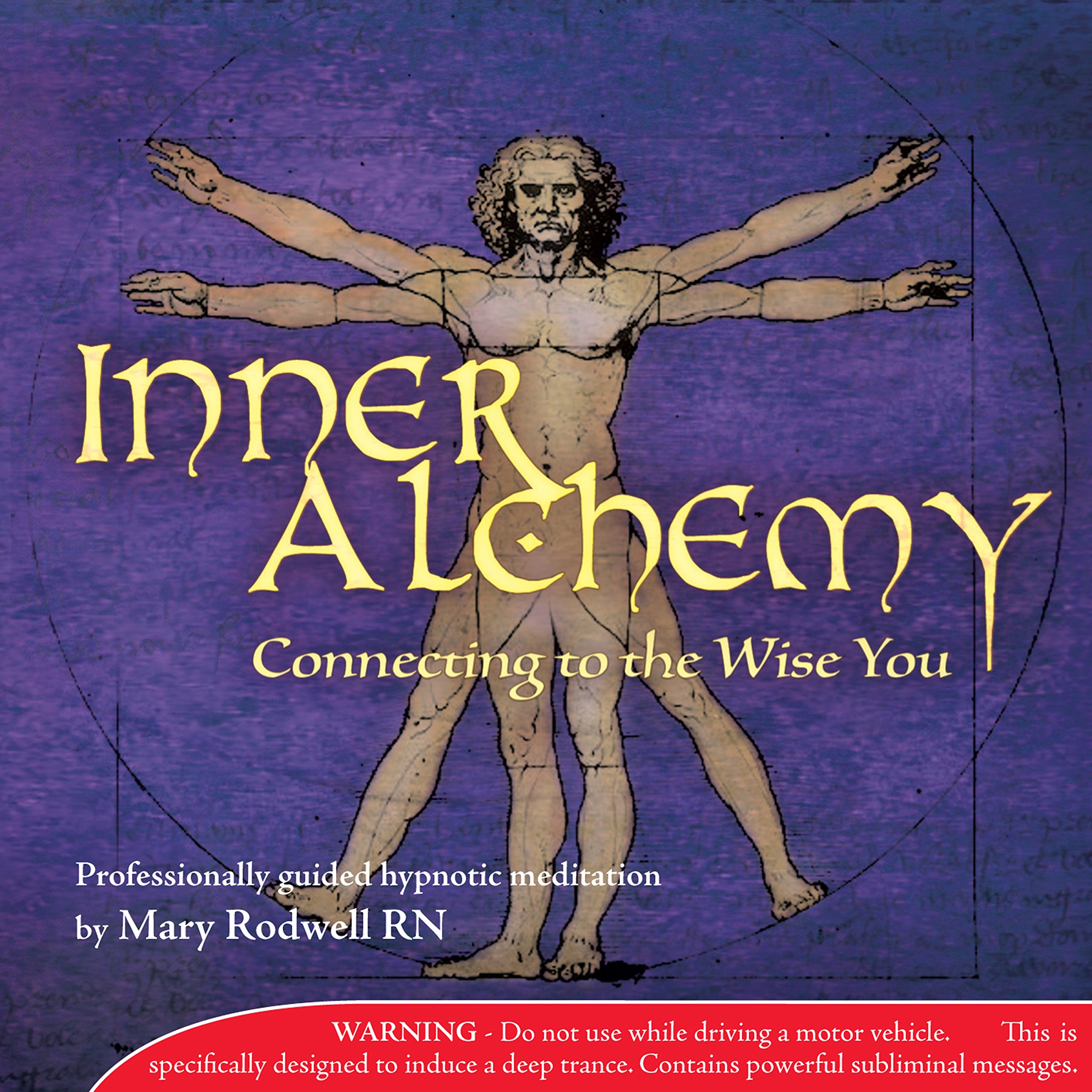 Inner Alchemy Meditation Vol 2 - Connecting to the Wise You [Import anglais] [Audio CD]