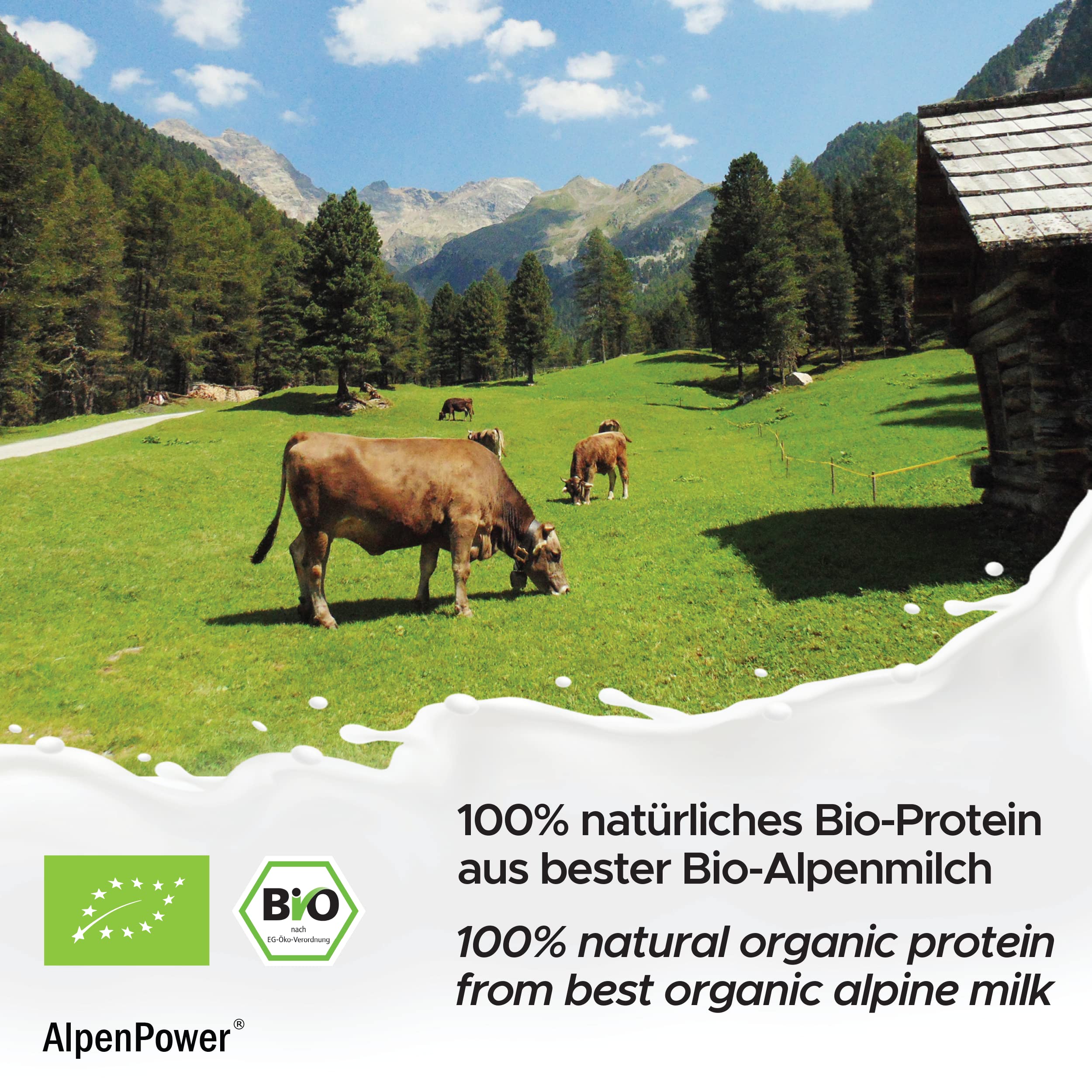 AlpenPower proteina caseina micellare biologica con BCAA e aminoacidi - 100% proteine della caseina in polvere senza additivi - a base del miglior latte d'alpeggio biologico - 750 g