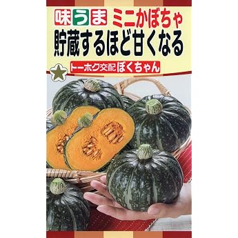 F1 Mini Pumpkin Buku-chan