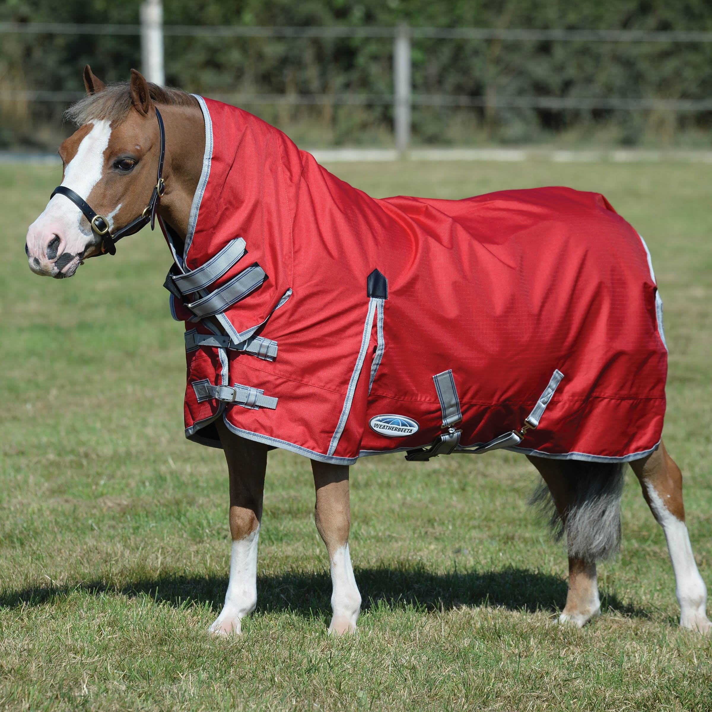 Weatherbeeta, Comfitec Essential, Combinazione di coperta e collare, pesante, Navy/Silver/Red