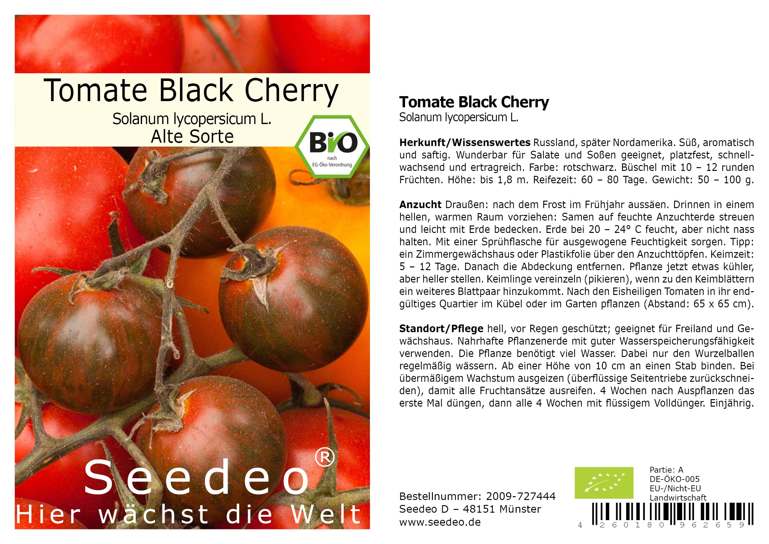 Seedeo Tomate Tschernij Prinz BIO Samen – 25 Stück, Schwarze Fleischtomate, Frostresistent