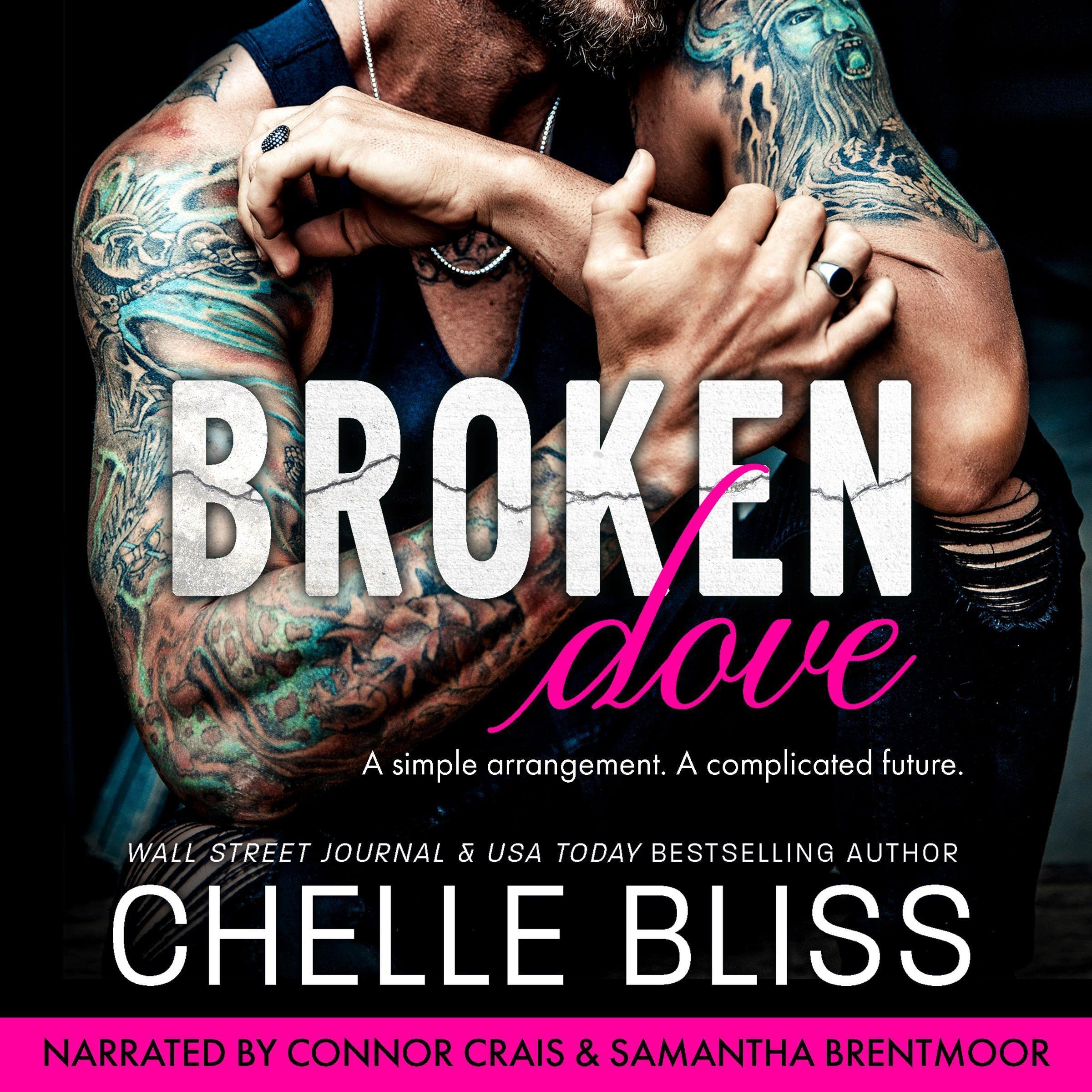 Cover art for Broken Dove