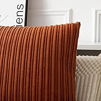 Vista 446 de UGASA - Juego de 2 fundas de almohada de terciopelo a rayas, funda decorativa para cojín con cremallera oculta para el hogar, sofá, dormitorio