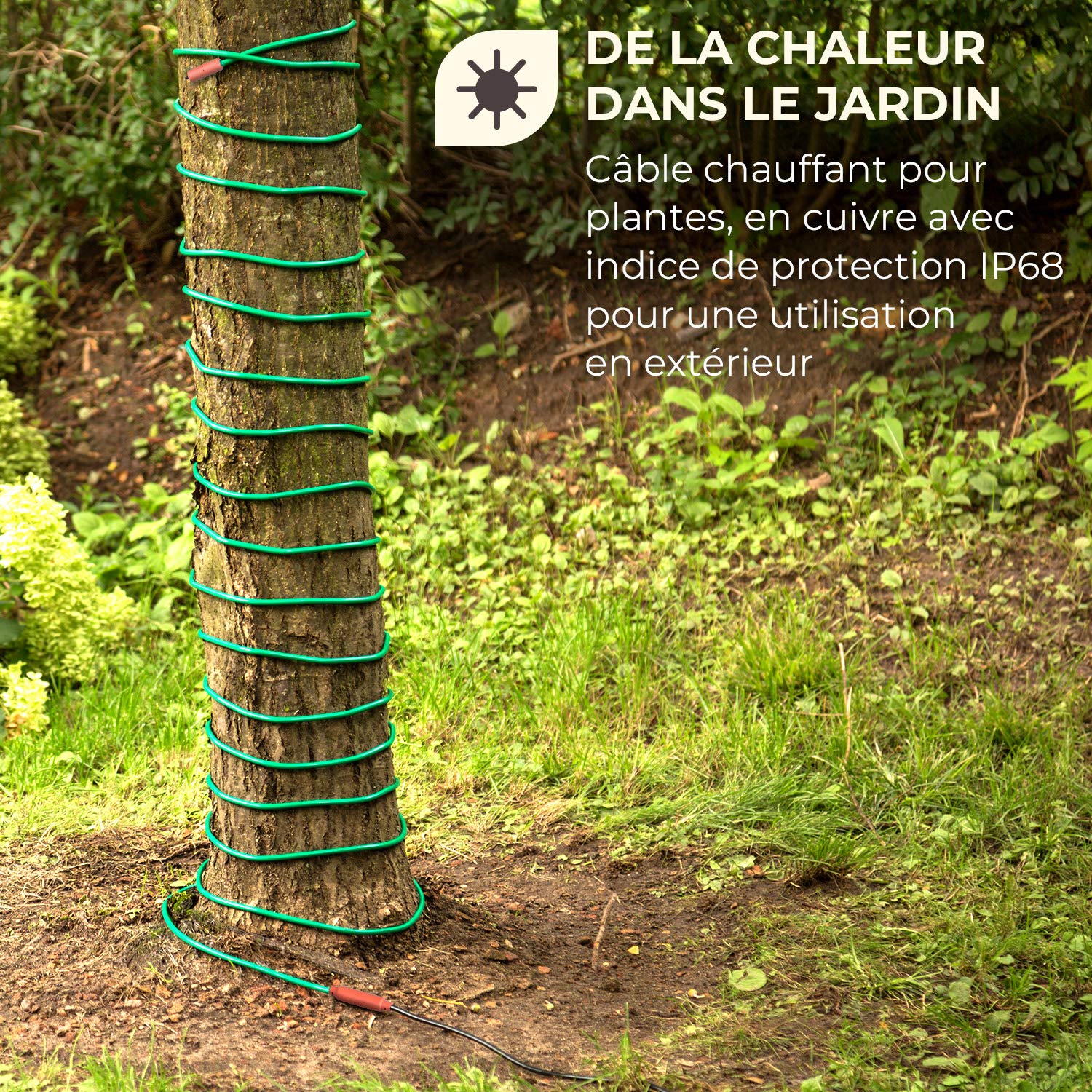 Waldbeck Greenwire Select 12 - Câble antigel, 12m