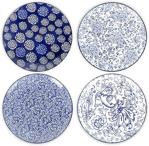 Selamica Juego de platos llanos de cerámica para 4, juego de platos en relieve de porcelana de 10.5 pulgadas para cocina, plato grande para Selamica Juego de platos llanos de cerámica para 4, juego de platos en relieve de porcelana de 10.5 pulgadas para cocina, plato grande para