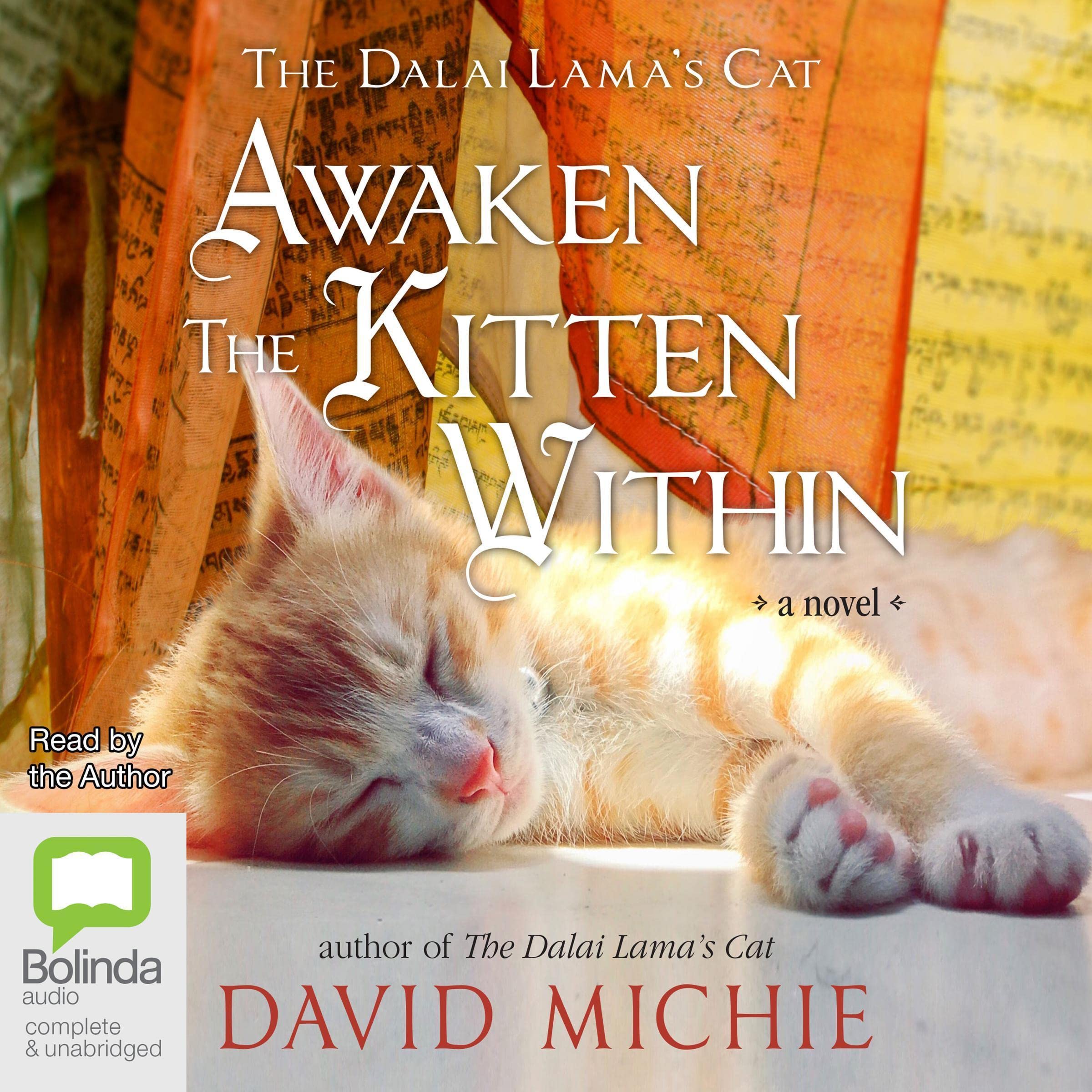 Cover art for Awaken the Kitten Within