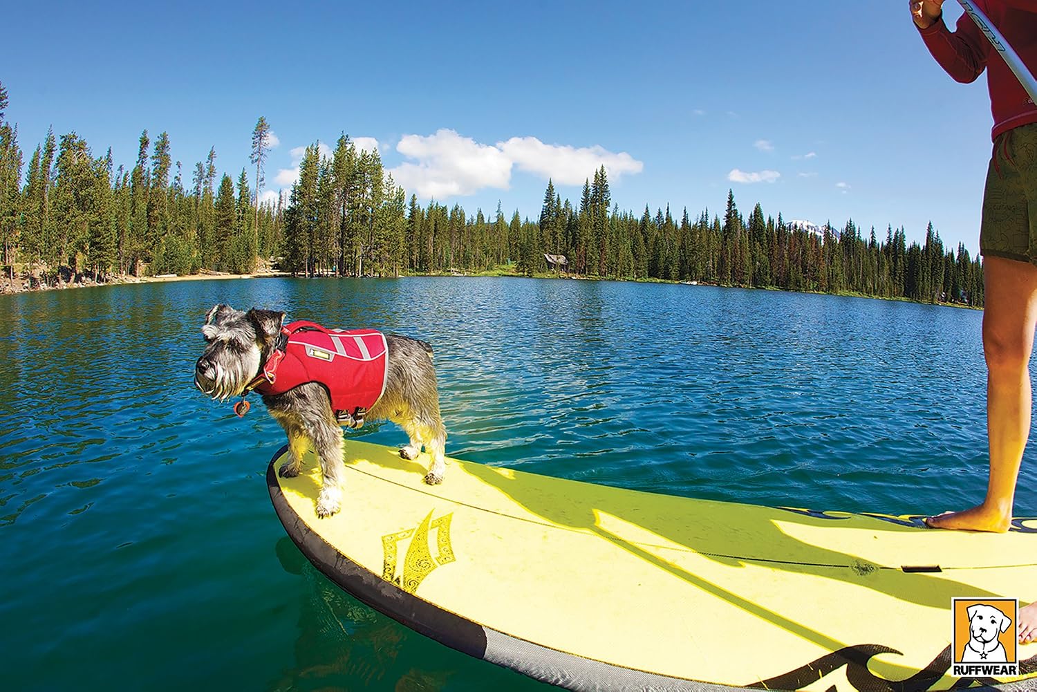 RUFFWEAR - Float Coat Reflective Life Jacket for Dogs, Red Currant (2016), Large