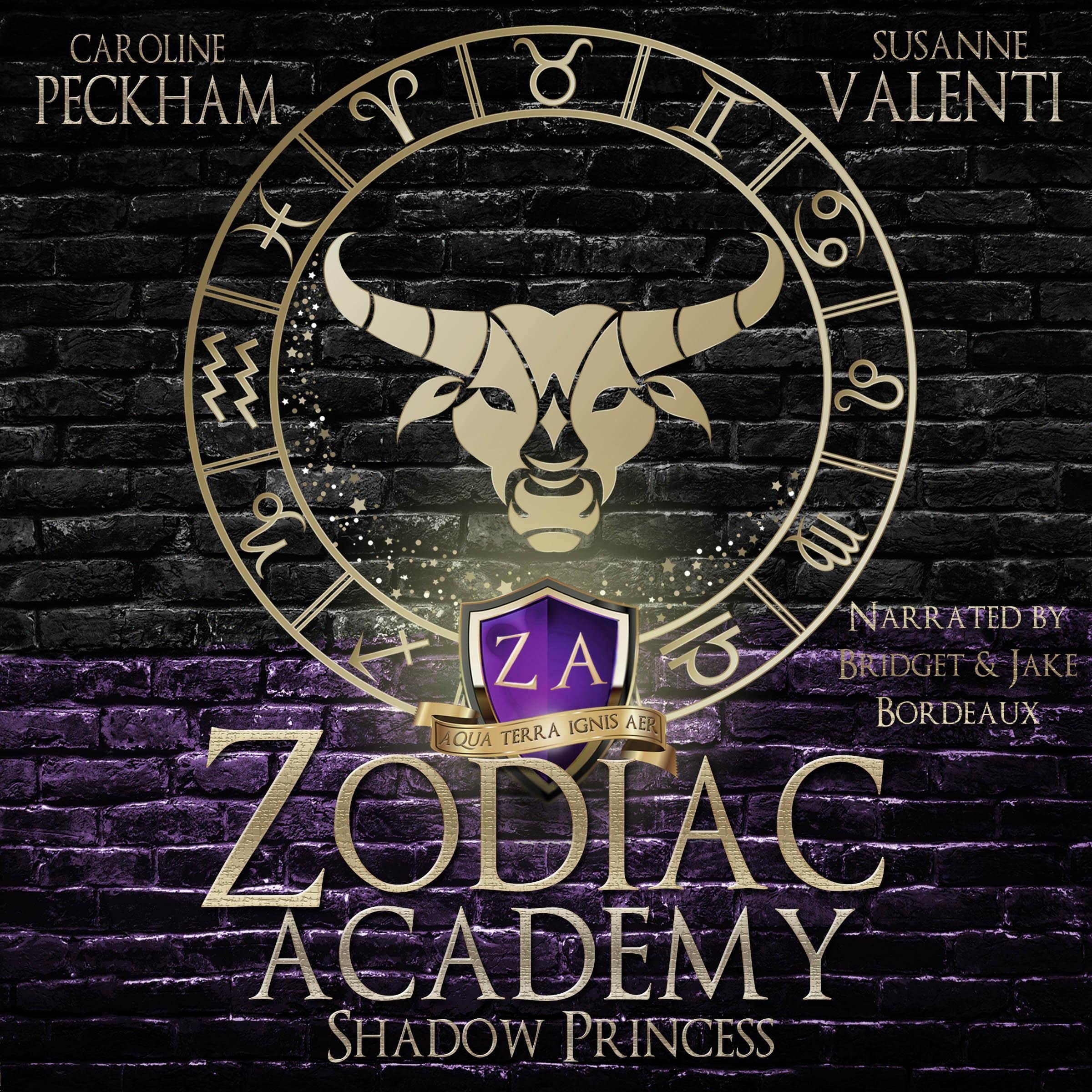 Shadow Princess: Zodiac Academy, Book 4