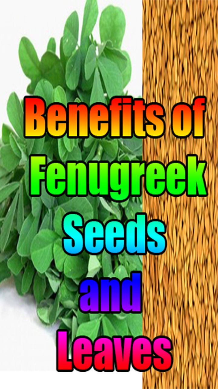 Benefits of Fenugreek Seeds and LeavesAmazon.co.ukAppstore for Android