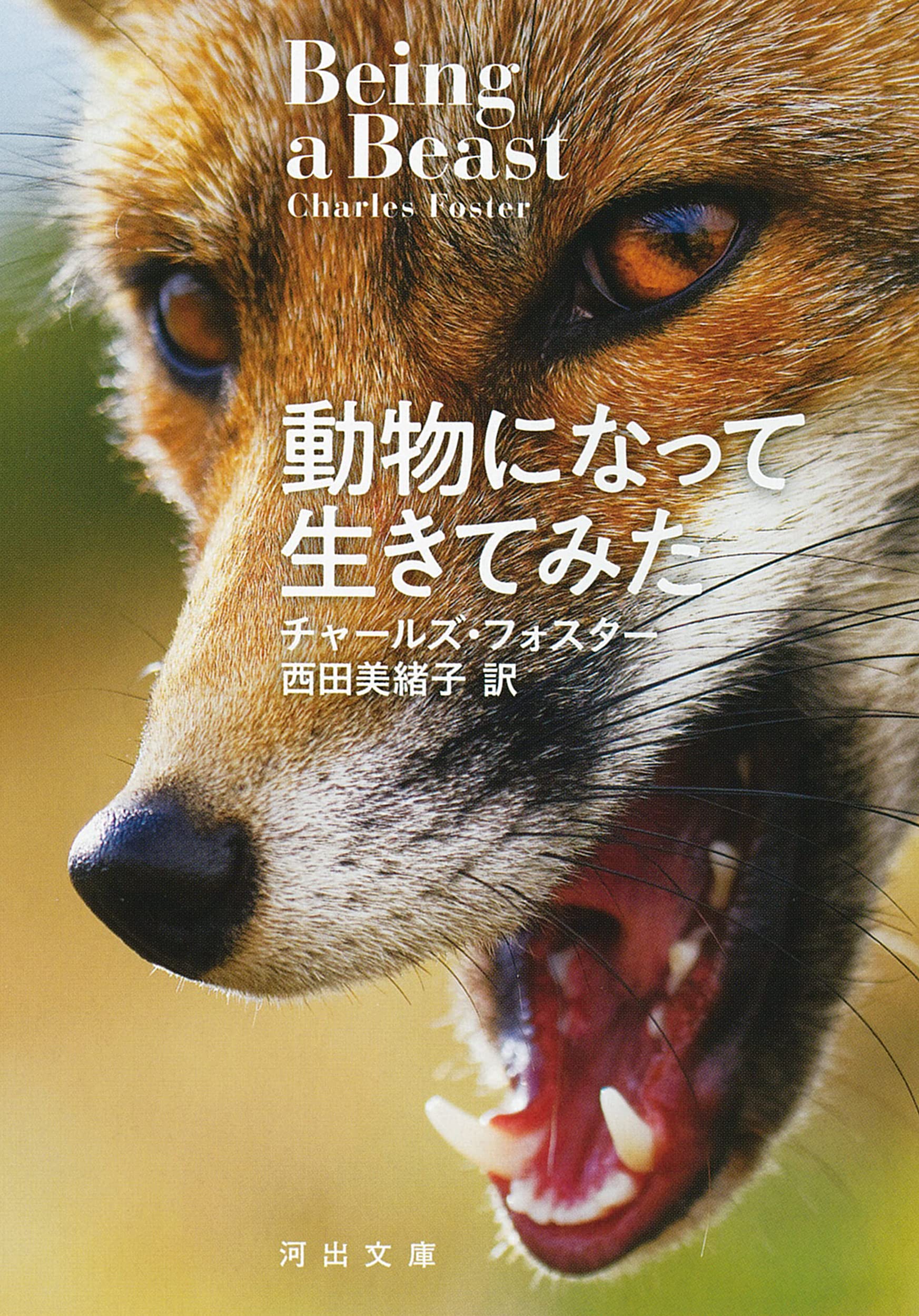 自然を名づける なぜ生物分類では直感と科学が衝突するのか  /ＮＴＴ出版/キャロル・カエスク・ユン（単行本（ソフトカバー）） 513vjlgdi8L.jpg_BO30,255,255,