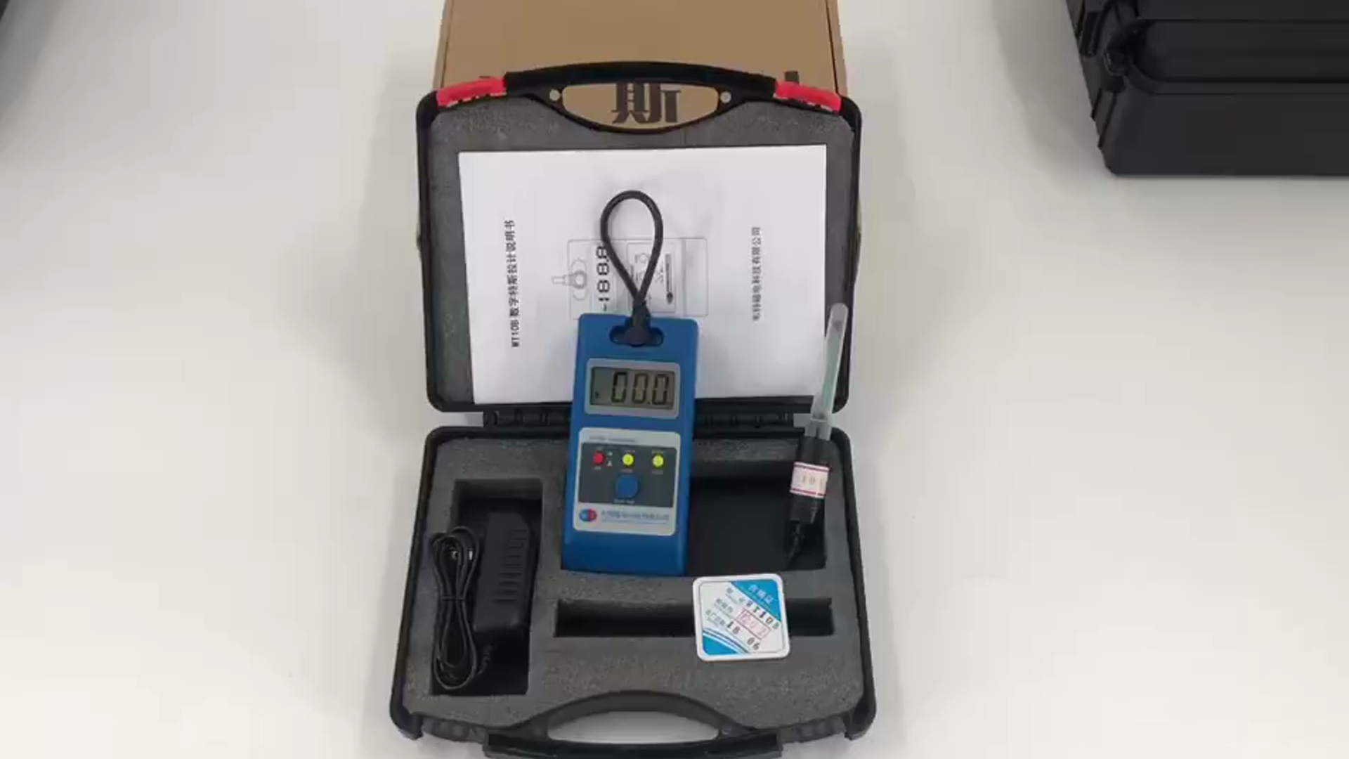 Medidor Gauss Tesla ELEOPTION WT10A con Sonda miniatura 7