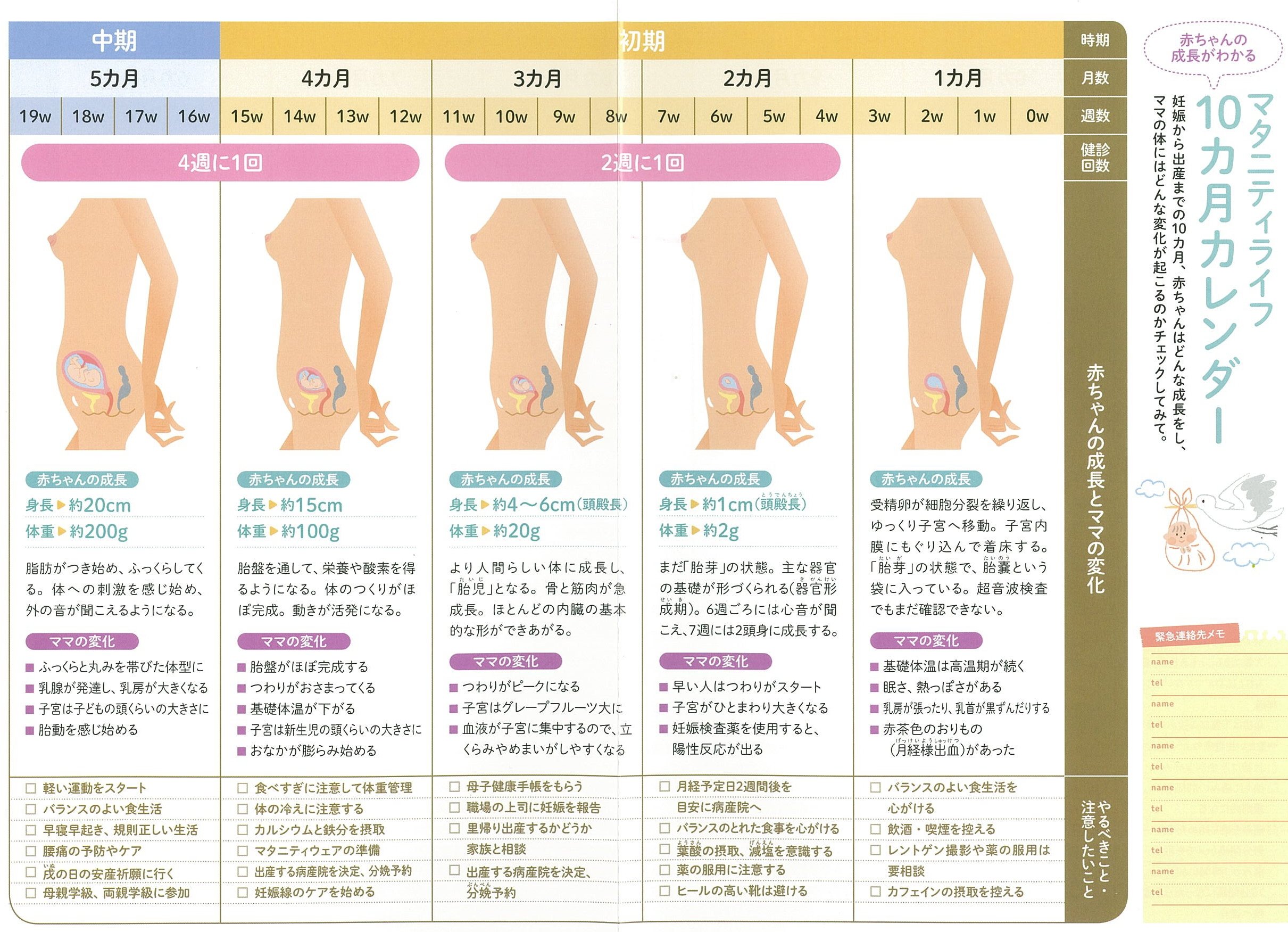 この1冊であんしん はじめての妊娠 出産事典 竹内正人 本 通販 Amazon
