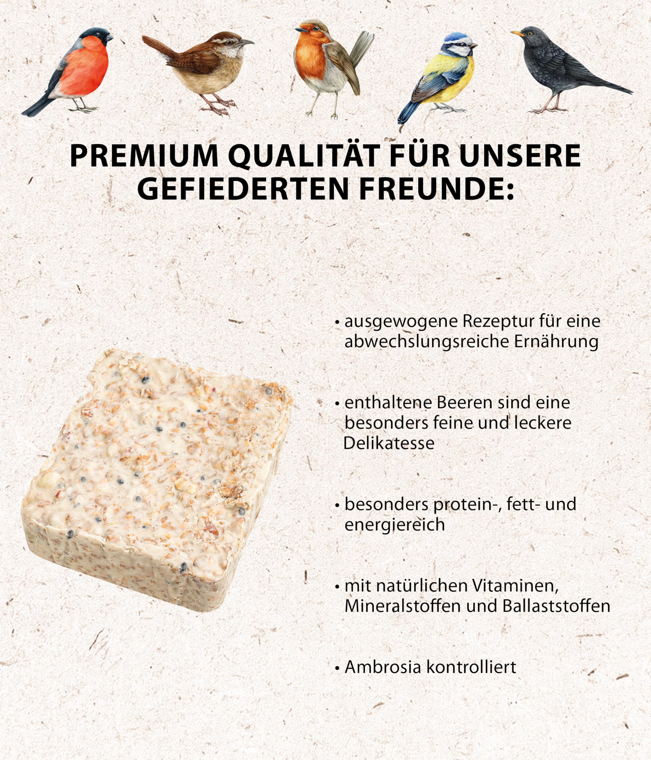 Dehner Natura - Tablas de Comida para Aves Silvestres con Bayas, 12 x 300 g (3,6 kg)