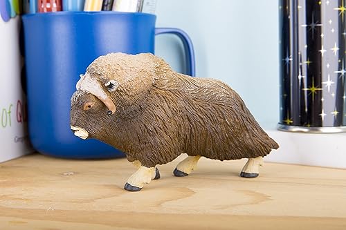 Miniatura 2 de Safari Ltd Vida silvestre norteamericana Muskox construcción de calidad a partir de materiales libres de ftalatos plomo y BPA para edades de 3 años