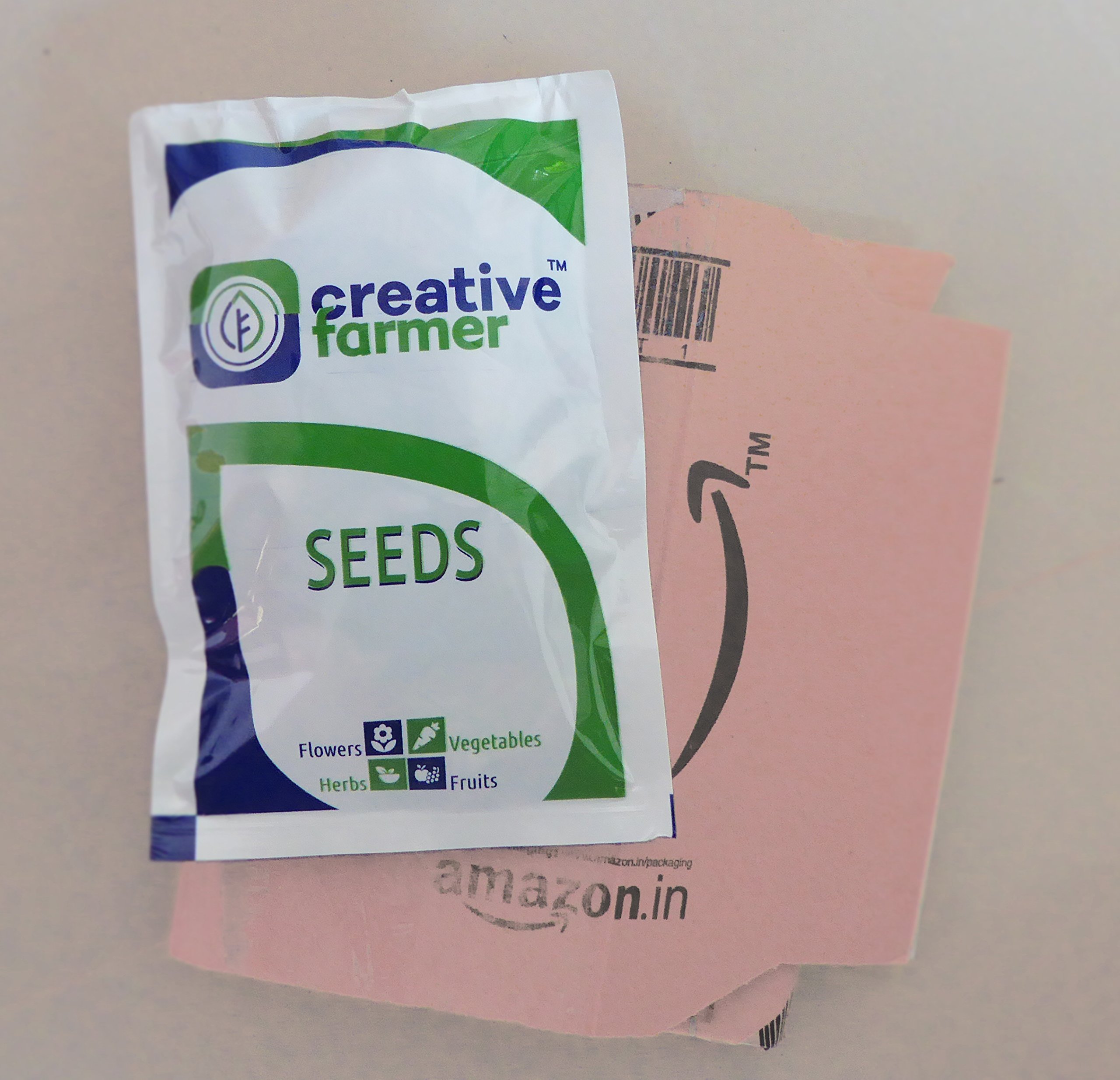 Creative Farmer Rudraksha Herb Seeds (Pack of 10 Seeds) 1