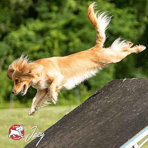 Miniatura 10 de Fromm Tenderollies Beef-a-Rollie - Golosinas para perros, suaves y saladas, receta de carne de res, 8 onzas