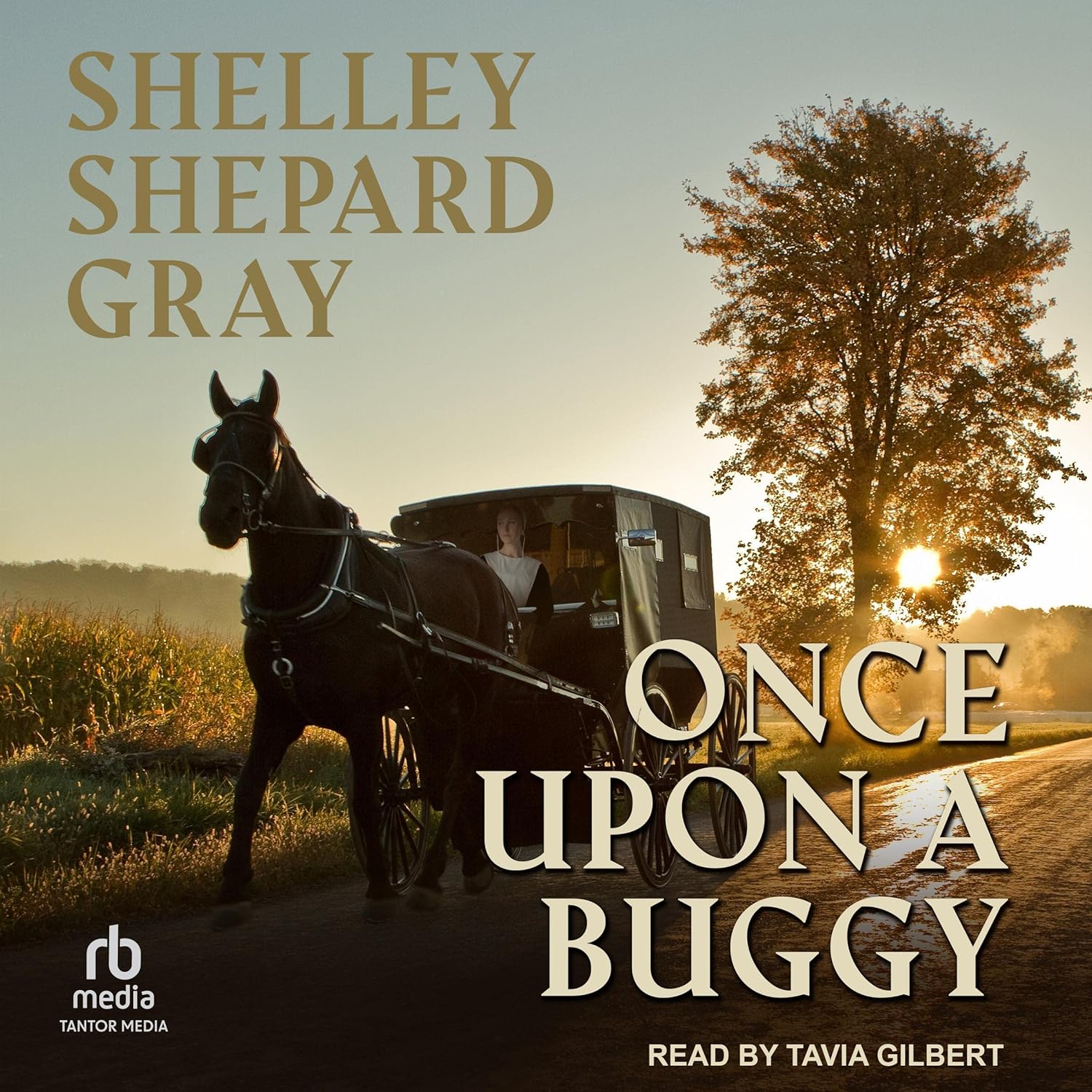 Once upon a Buggy: The Amish of Apple Creek, Book 2    
	                
	            

                 
                        Audible Audiobook 
                  
                        – Unabridged