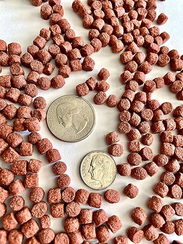 Miniatura 3 de Zeigler - Dieta de alto rendimiento Koi + Goldfish Food Fancier para mejorar el color y el desarrollo saludable de los tejidos, pellets flotantes de