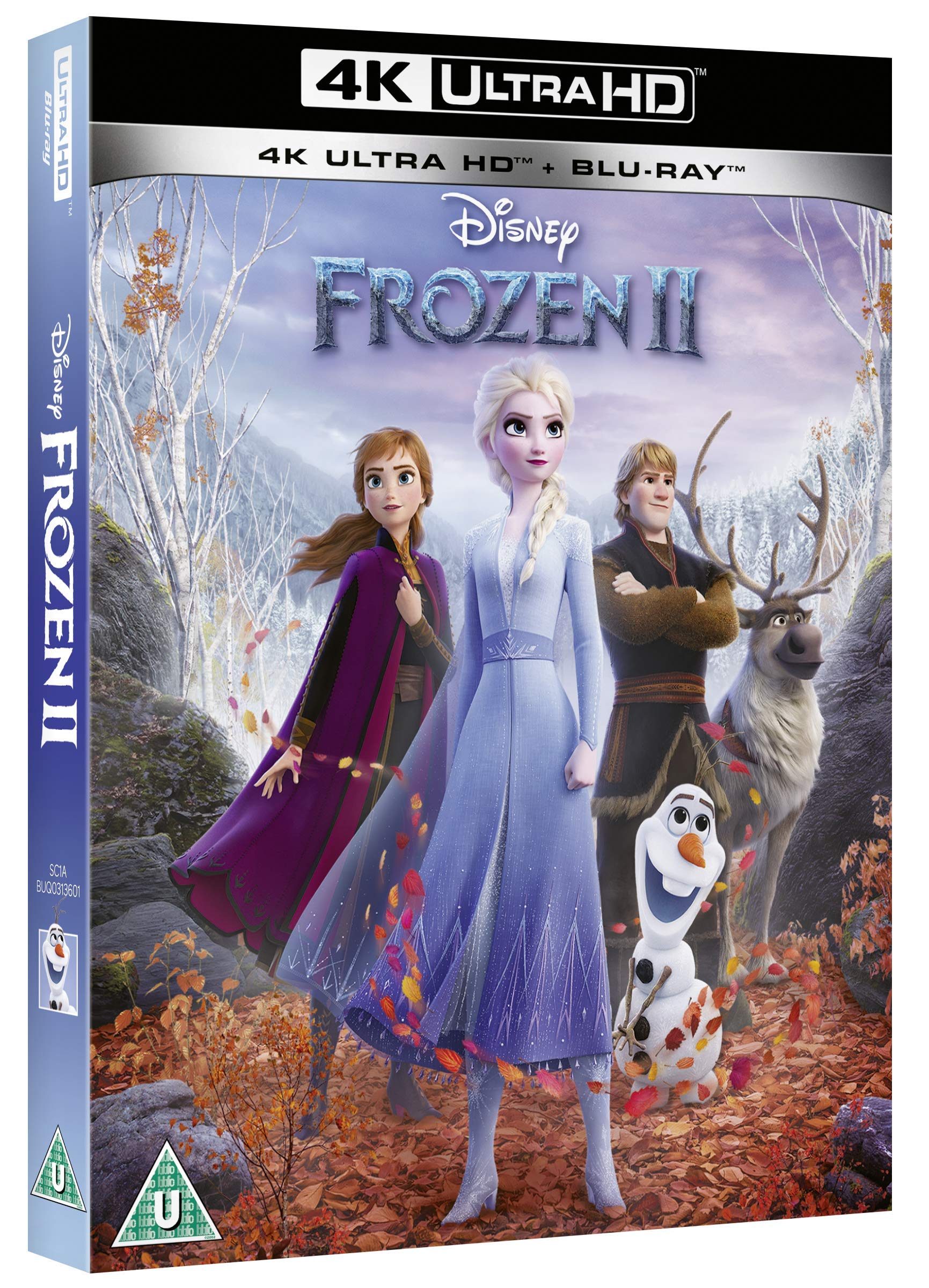 Image secondaire de Frozen 2 - Film 4K Ultra HD avec Audio Français
