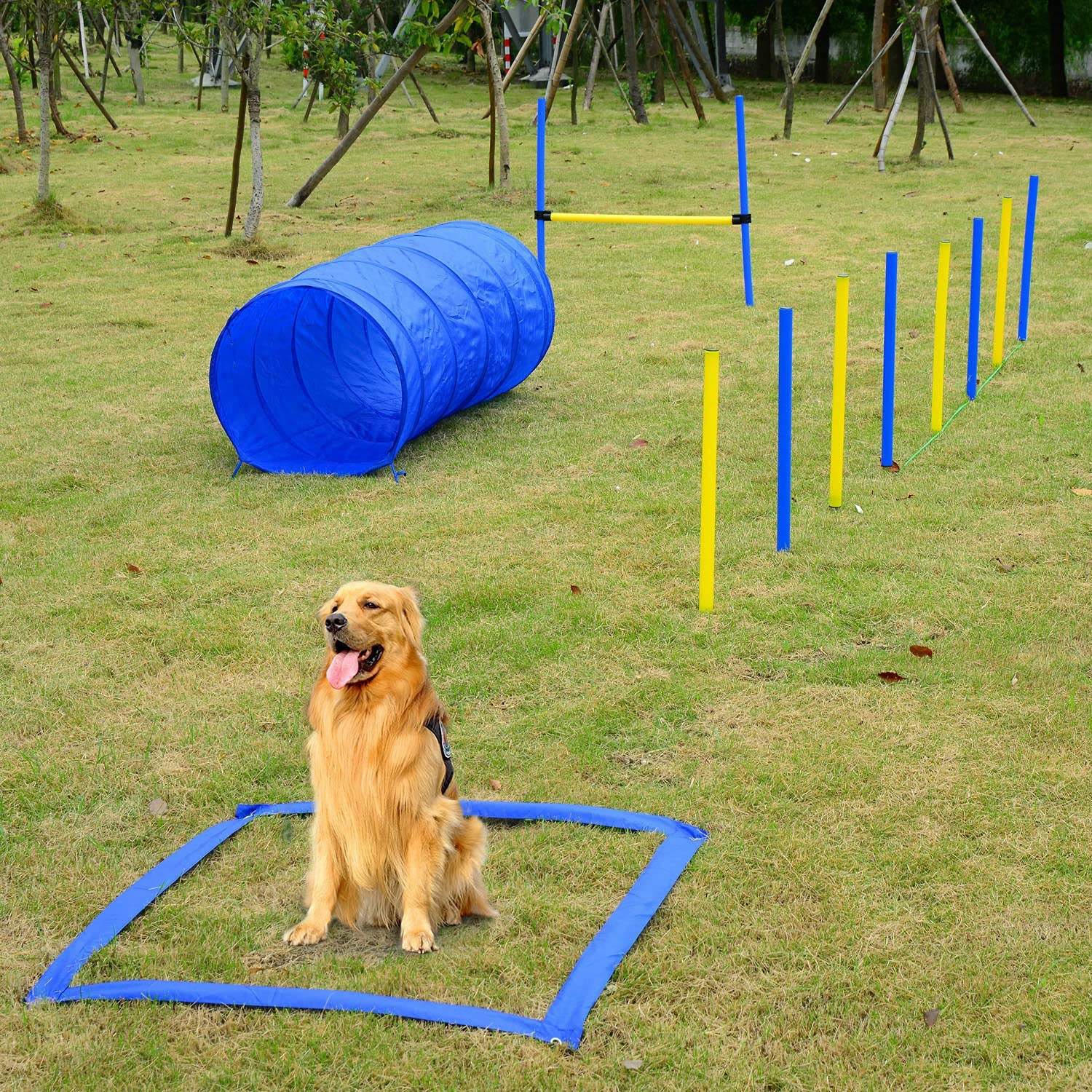 FAXIOAWA Kit di addestramento per l'agilità del Cane da Cortile Attrezzatura per la Corsa ad Ostacoli Salta Il Tunnel