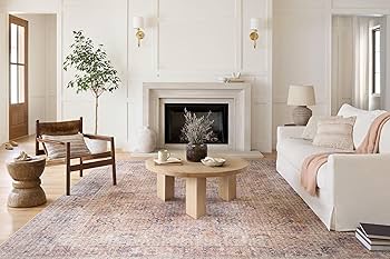 Lou出品 Amazon.com: Loloi Skye Collection SKY-01 Blush/Grey 6'-0