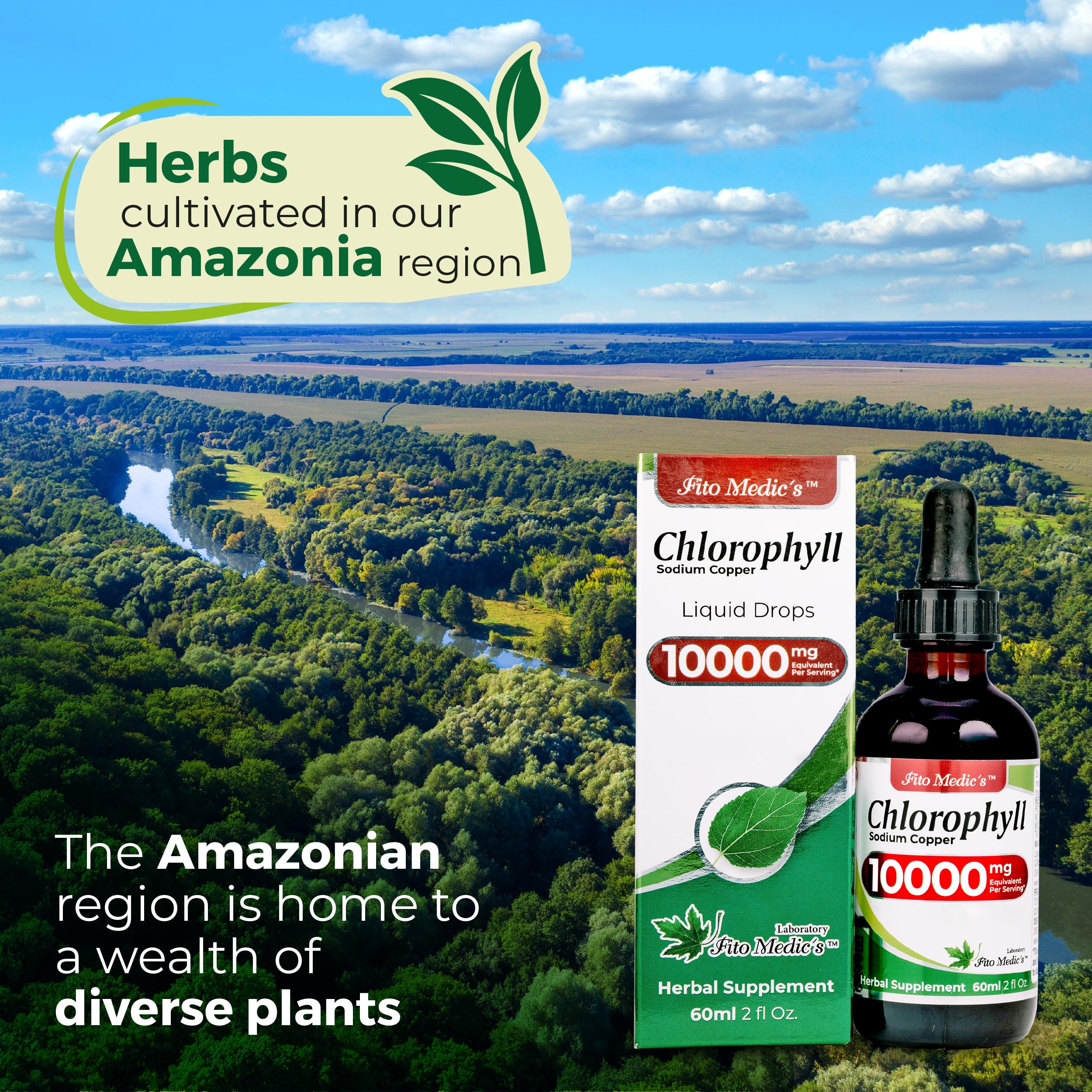 FITO MEDIC'S Lab | Liquid Chlorophyll | Chlorophyll Liquid Drops | 50 mg 200:1 Ratio Extract per Serving. — Amazon image 5