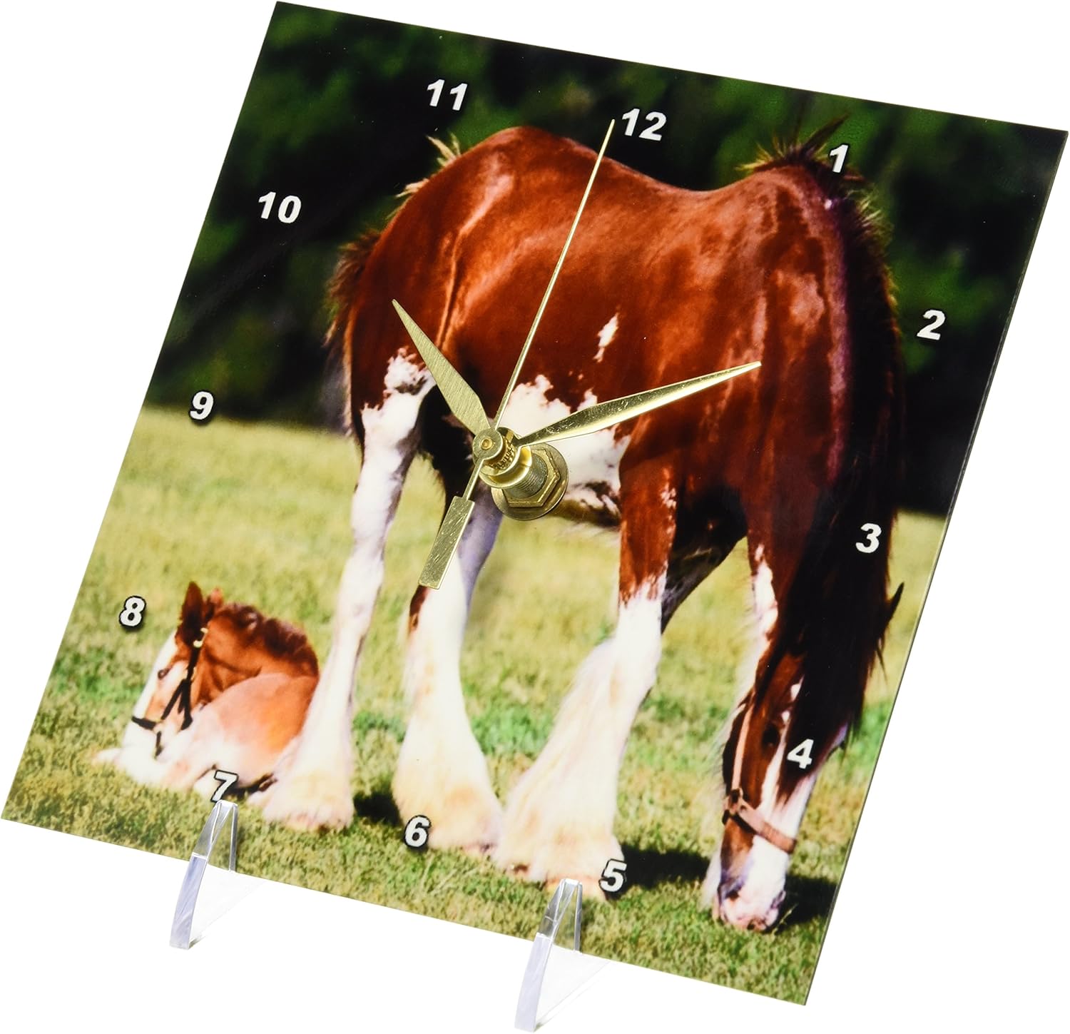 3dRose dc_80253_1 Clydesdale Mare and Foal Horses Desk