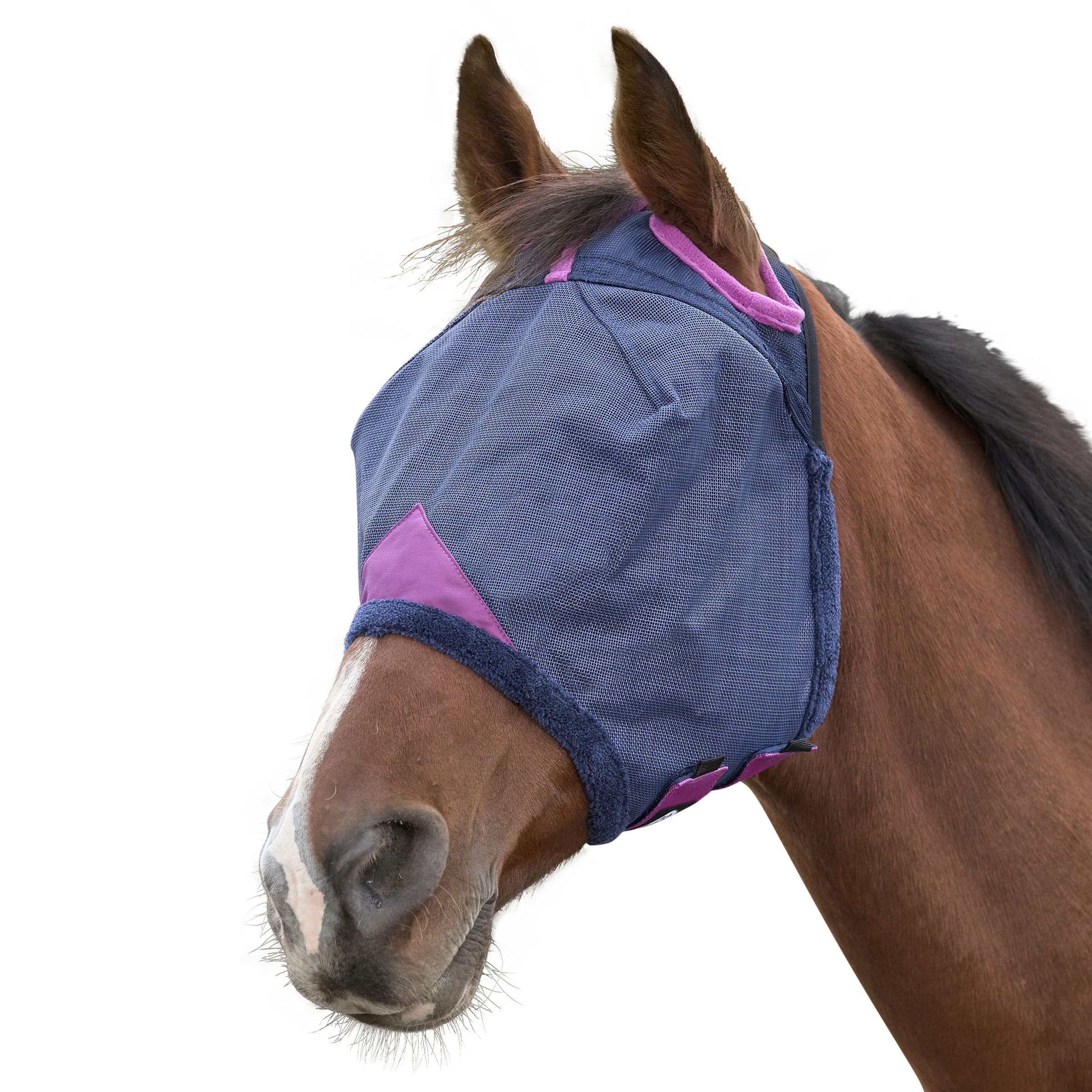 Masque anti-mouches poney WeatherBeeta ComFiTec bleu marine et violet