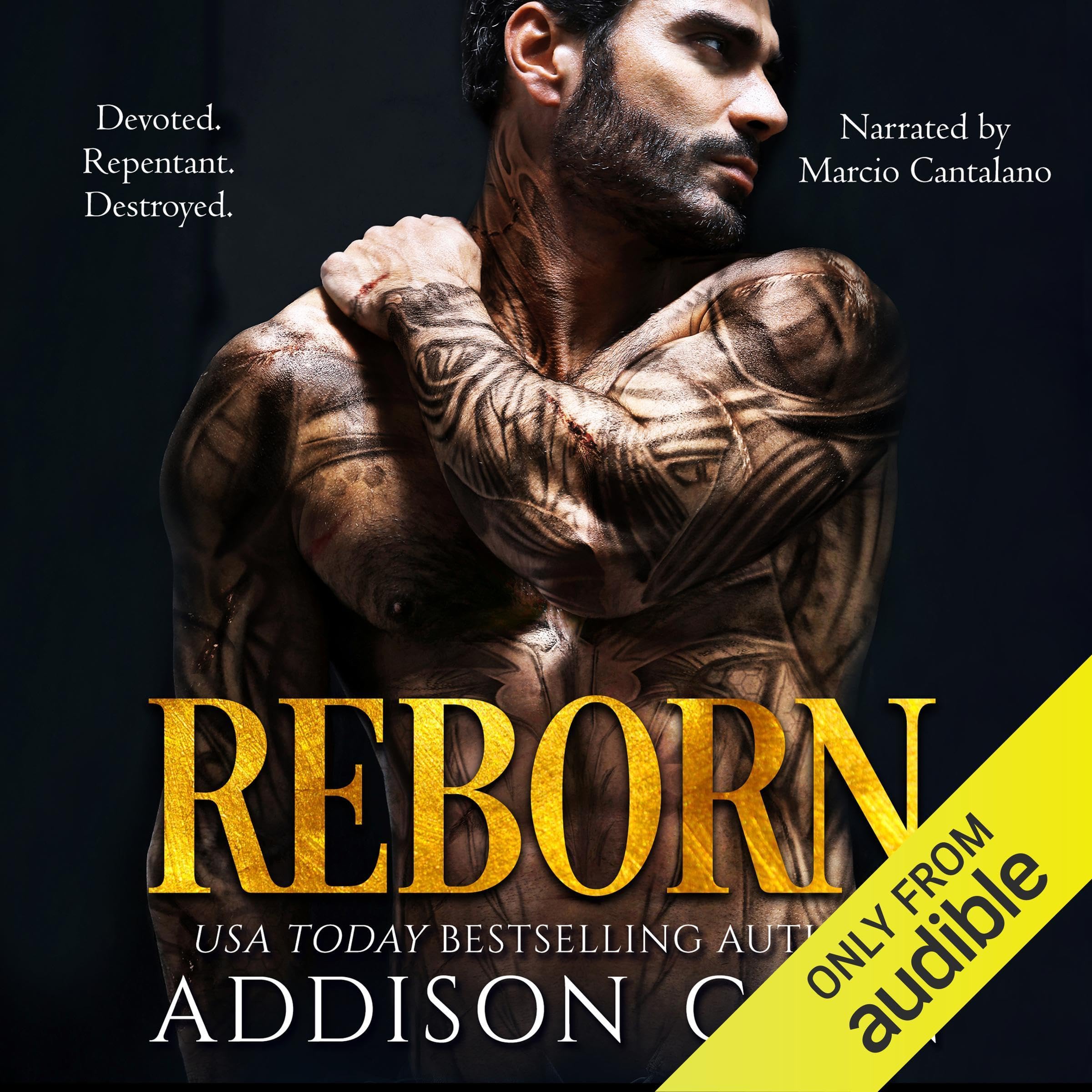 Cover art for Reborn: Alpha's Claim, Book 3