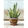 Product Photo 7