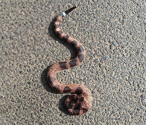 Miniatura 4 de Juguete de serpiente de goma de 10.23 pulgadas de largo para bromas, decoración de Halloween, accesorios de jardín para mantener alejados a pájaros