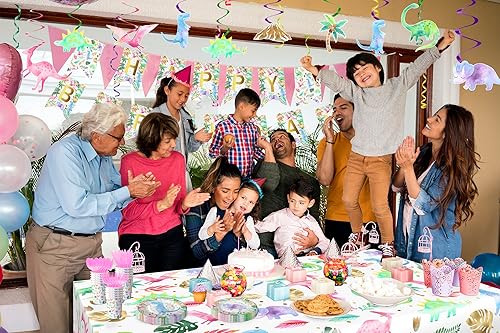 Vista 6 de Suministros de fiesta de cumpleaños de dinosaurios para niñas, decoraciones de fiesta de dinosaurios rosados, globos, pancartas de cumpleaños