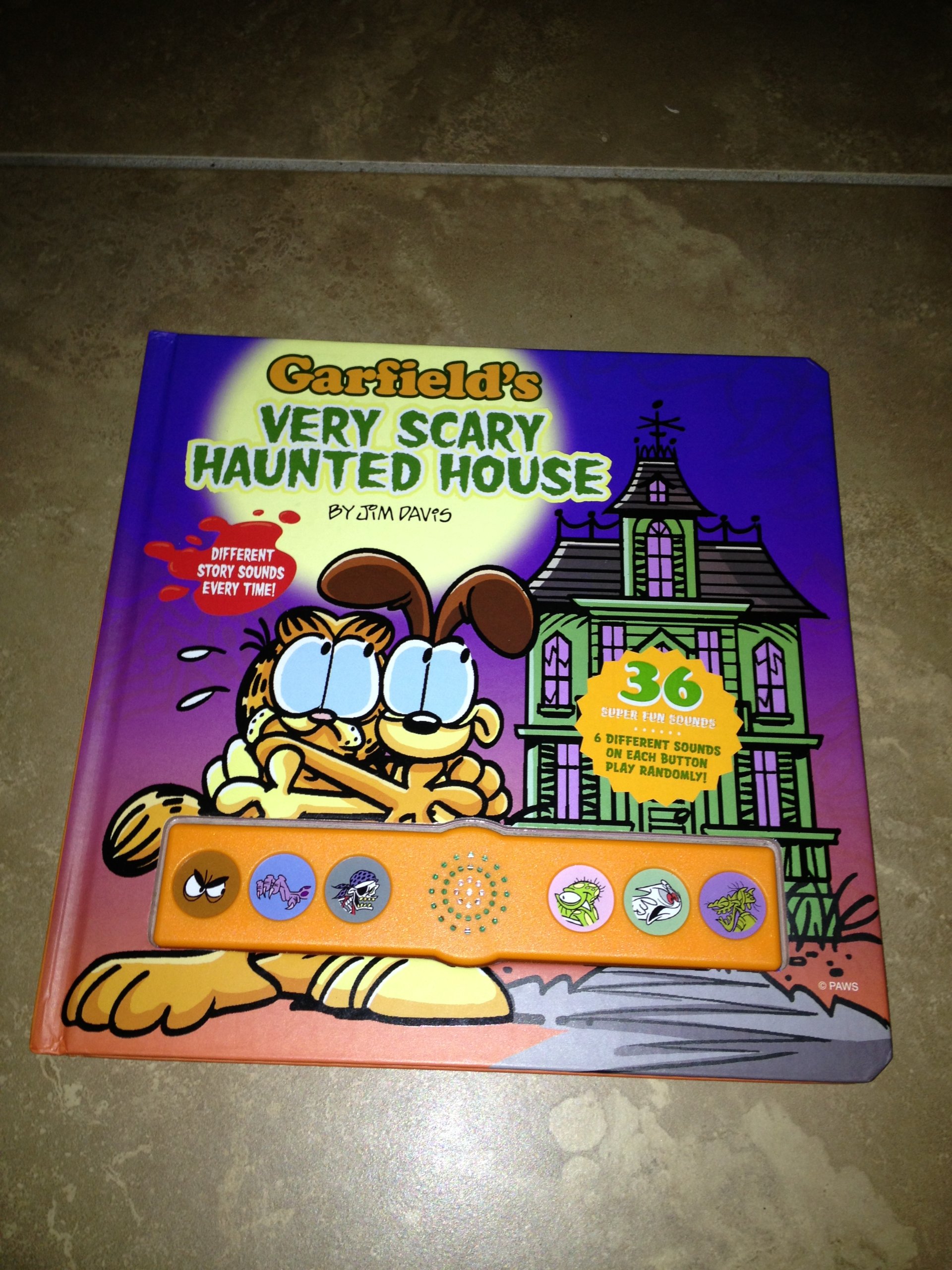 Garfield's Very Scary Haunted House: Nickel, Scott: 9781926988597: Books -  Amazon.ca