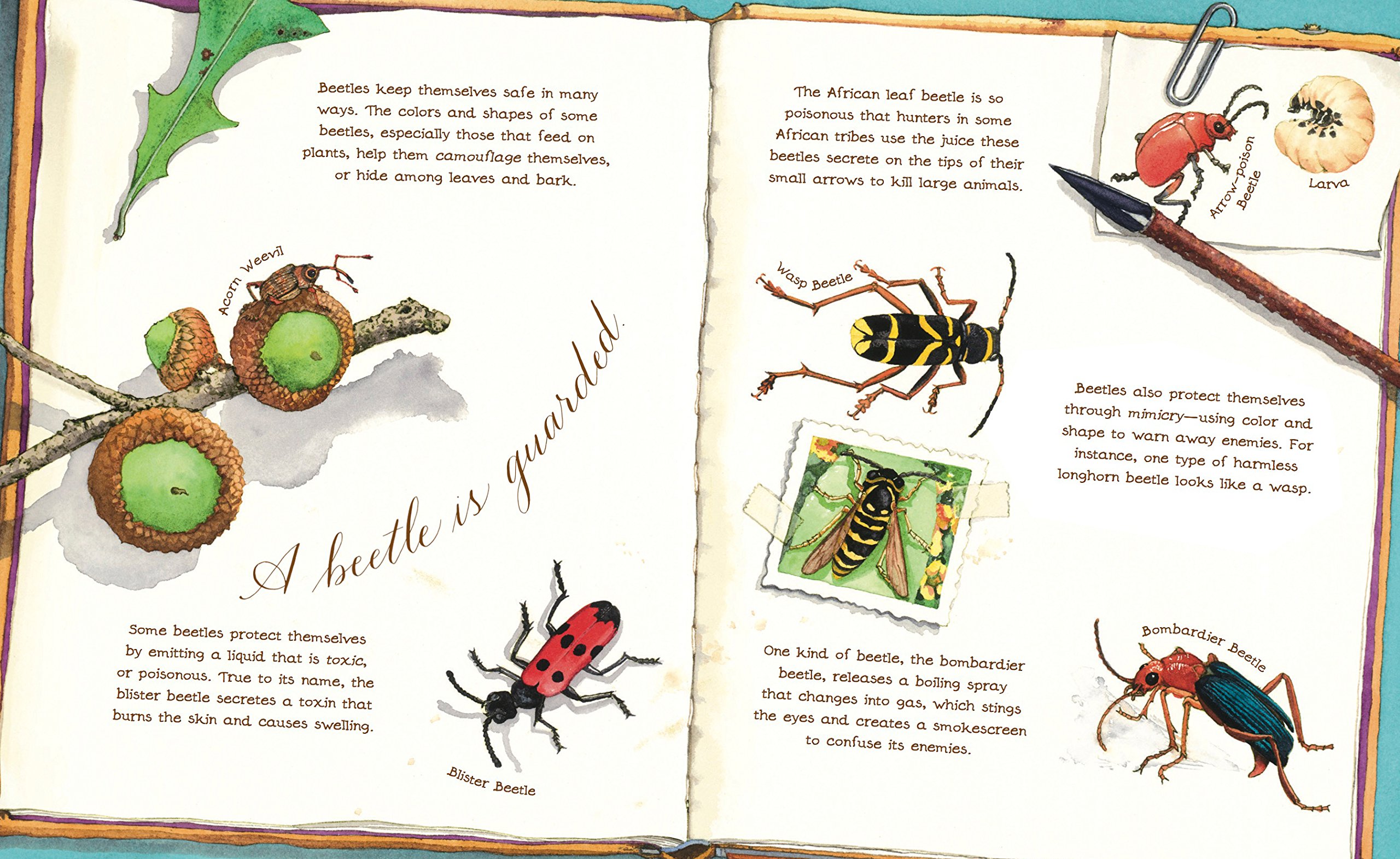 A Beetle Is Shy (Sylvia Long) - Image 6