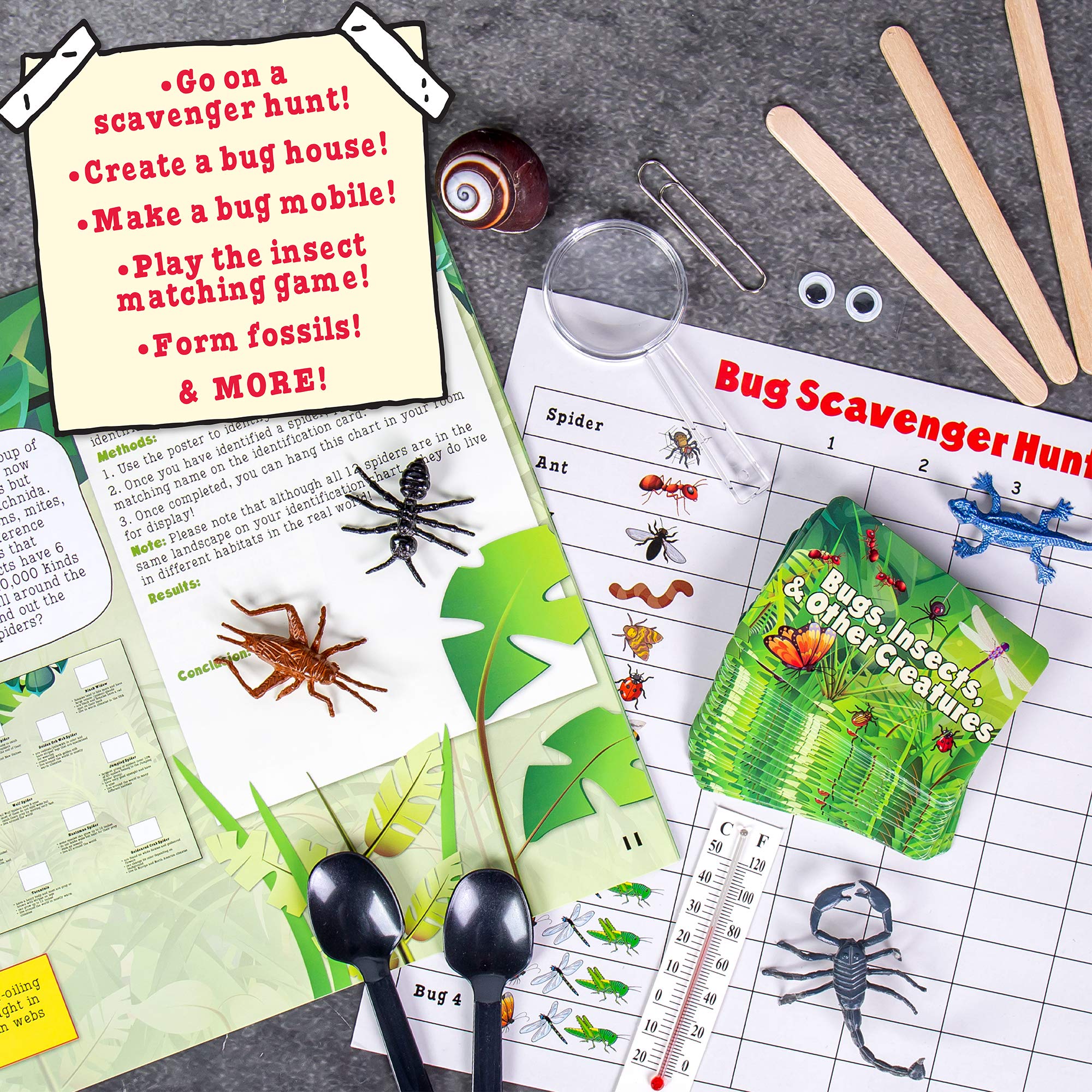 Buy The Magic School Bus Exploring Bugs, Insects & Creatures, atHome