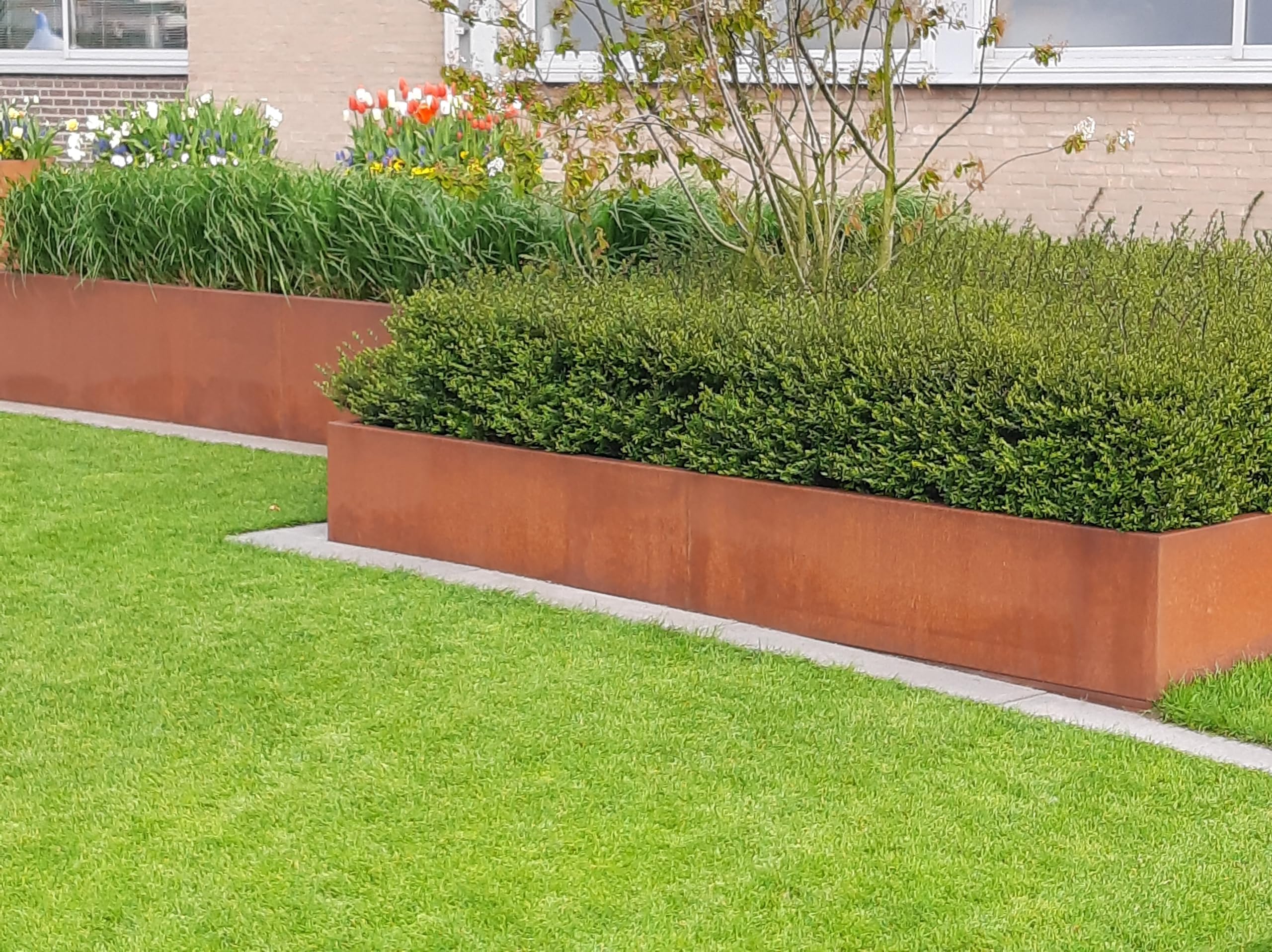 Rasenkantenband Edelrost Verschiedene höhen und längen 1 mm dick Beet Begrenzung (20 Meter 20 cm hoch)