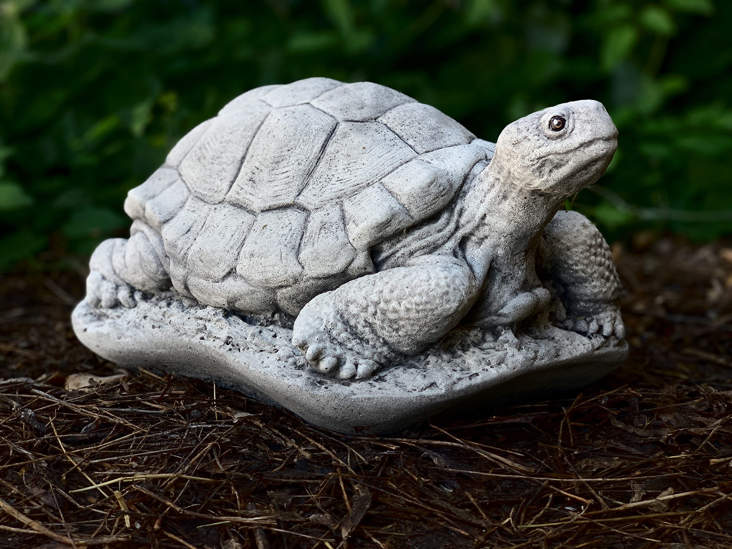 Tortue marine - Edge sculpture - Vente en ligne ou en magasin