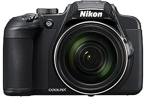 Capture Distant Details with NIKON COOLPIX B500 Digital Camera