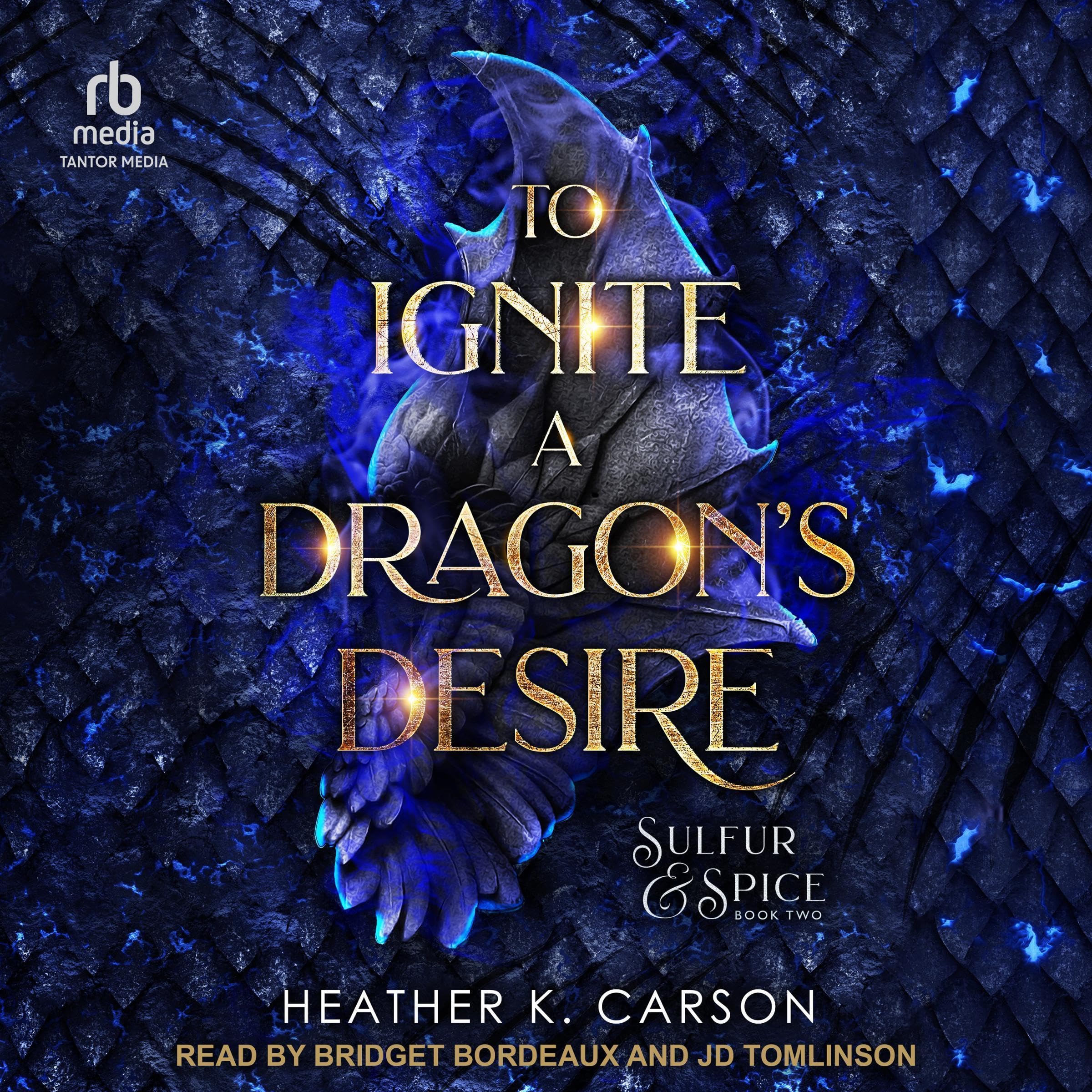 Cover art for To Ignite a Dragon's Desire