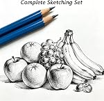 Drawing Pencils Sketch Pencils 12 Piece Sketching Pencils Set Professional Art Pencil Drafting Pencil Drawing Pencil for Adults Artists Beginner