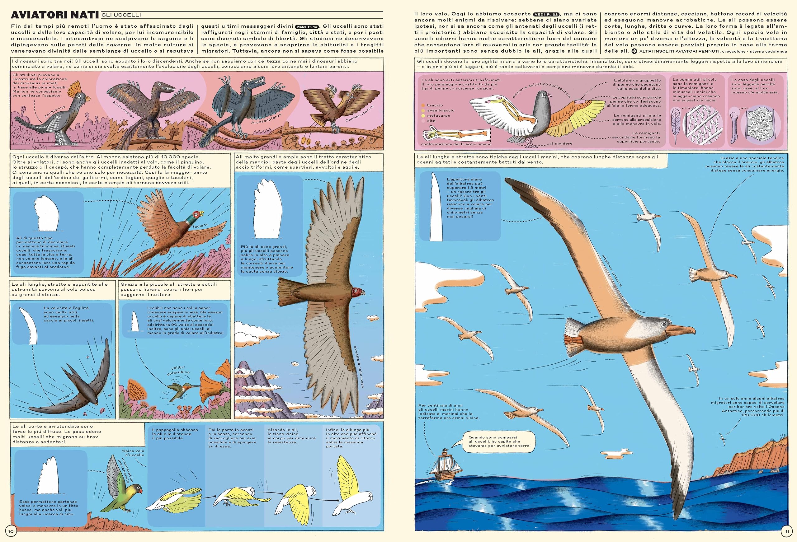 In alto! Storia illustrata dell'aviazione. Ediz. a colori
