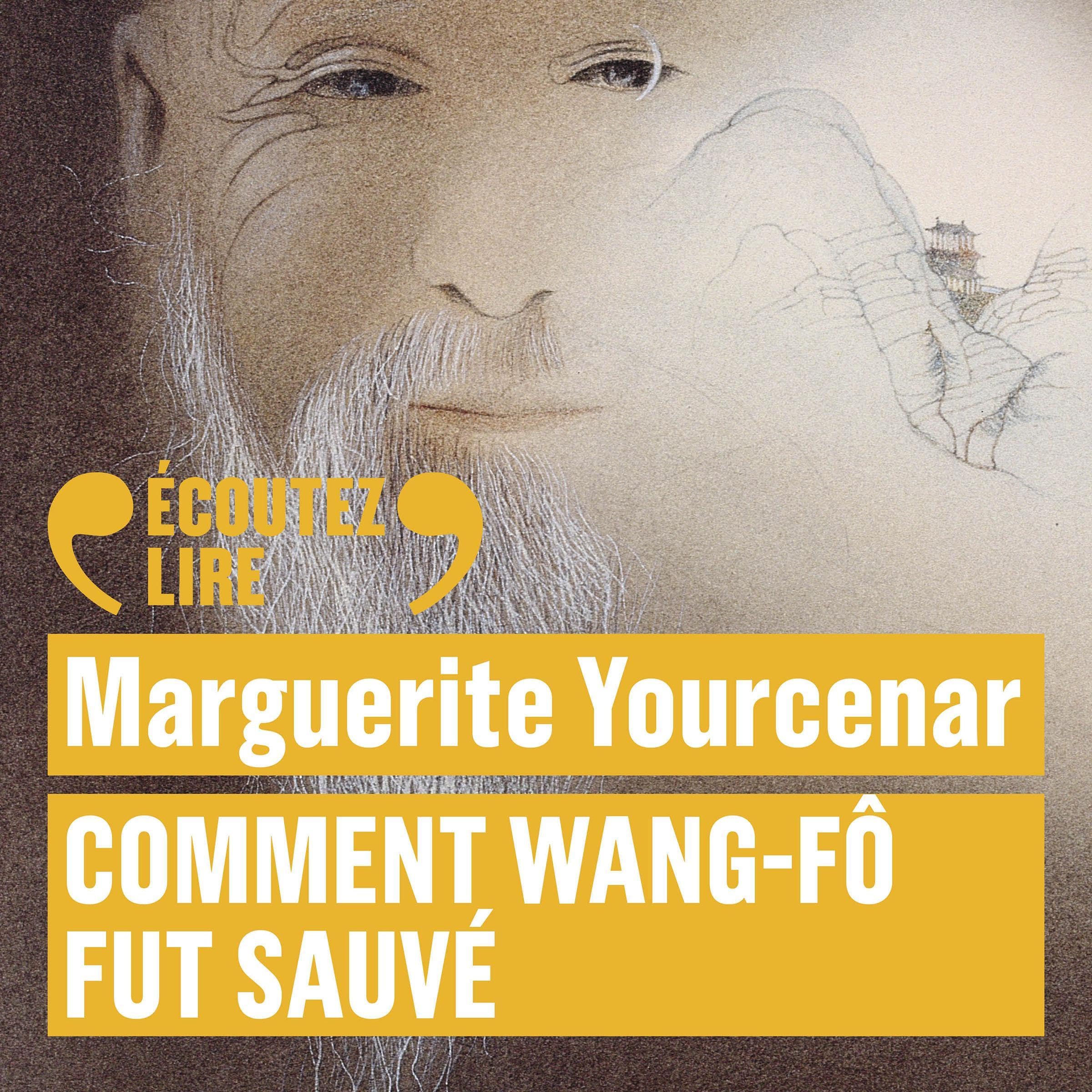 Cover art for Comment Wang-Fô fut sauvé